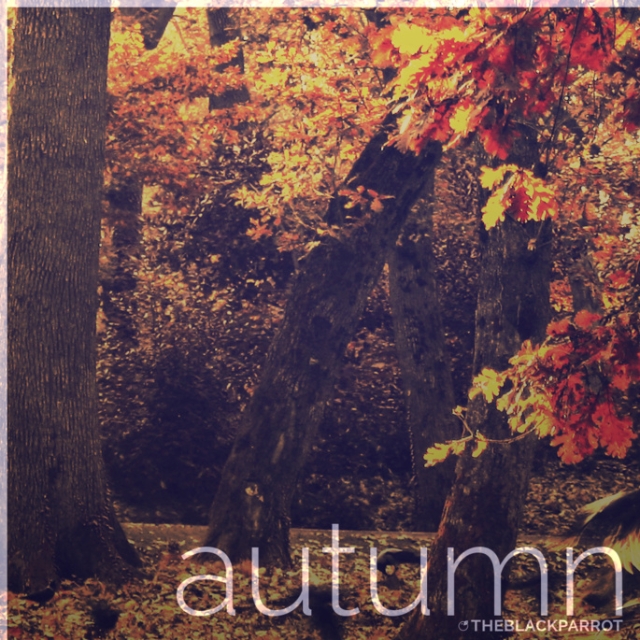 Autumn