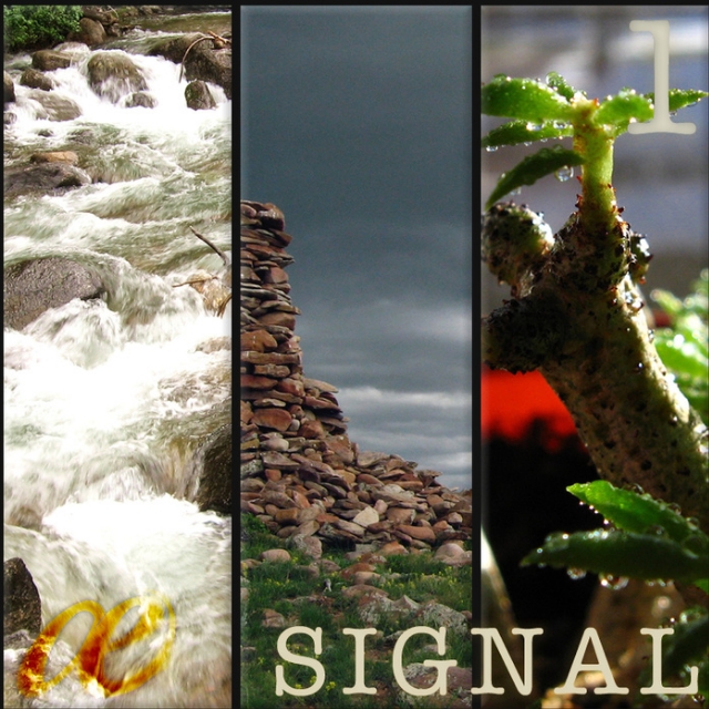 Signal Vol 1