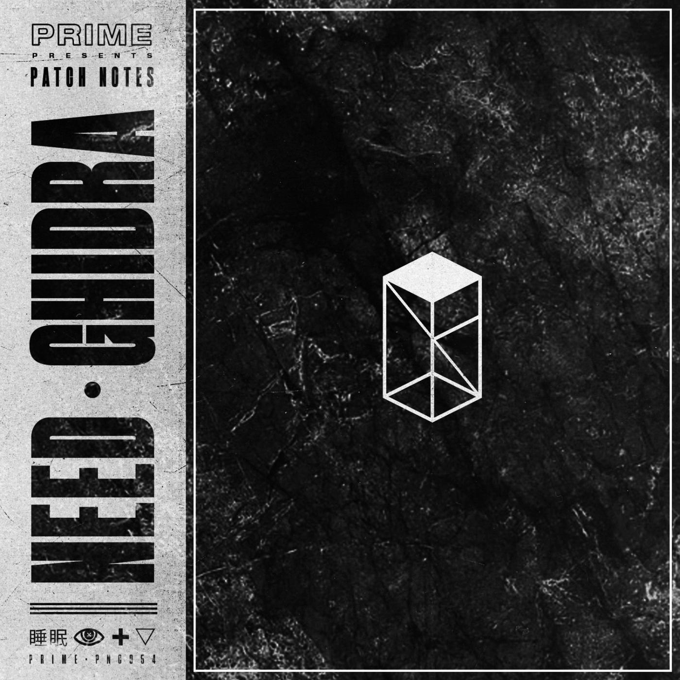 Need / Ghidra