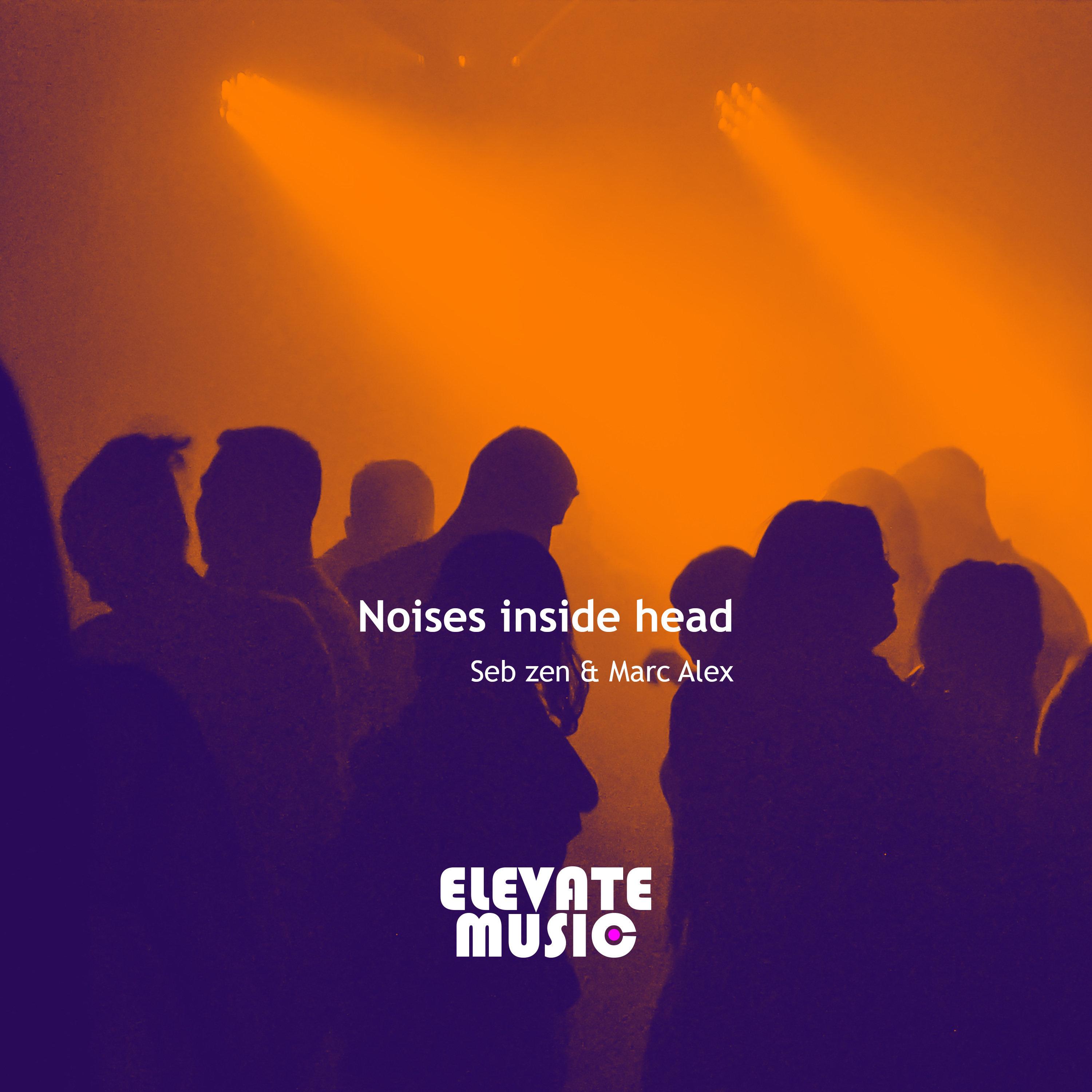 Noises Inside Head