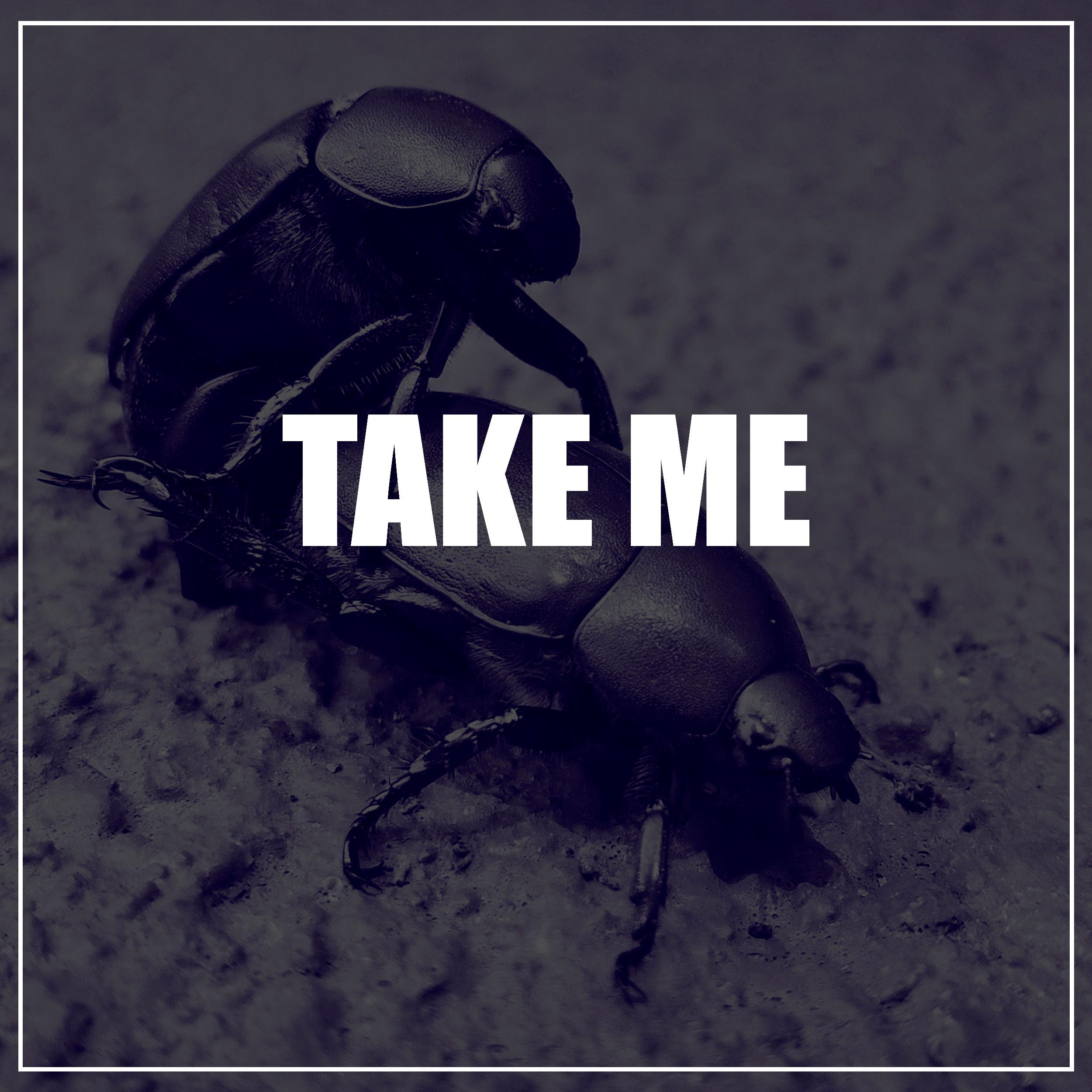 Take Me