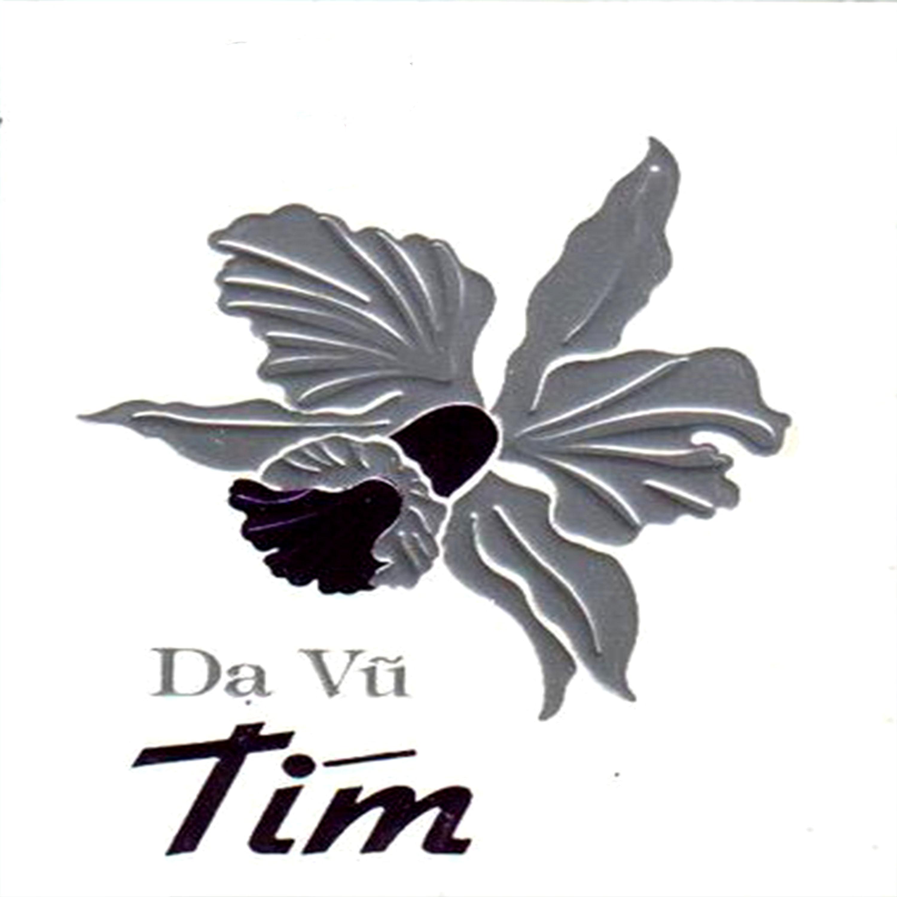 D V Ti m
