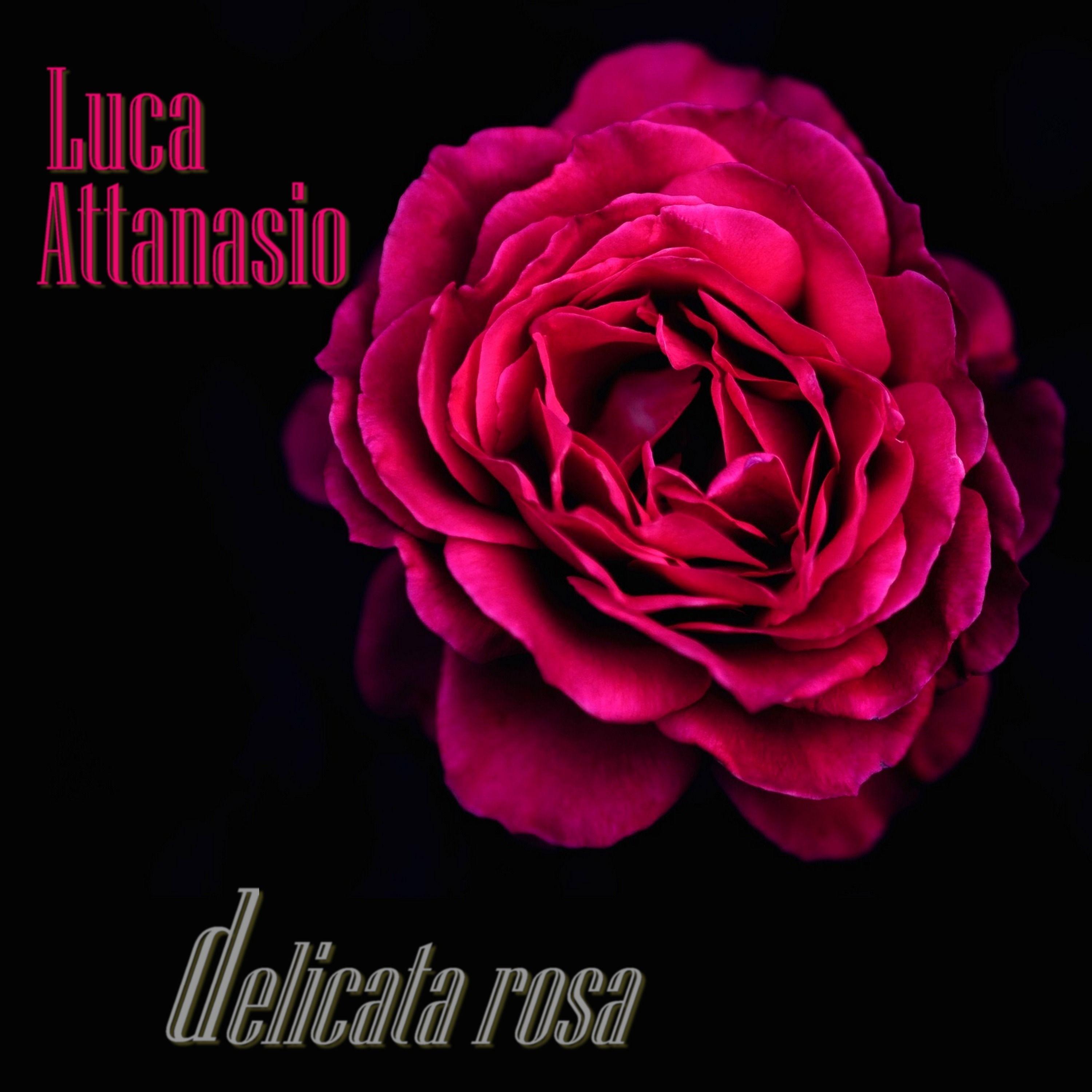 Delicata Rosa