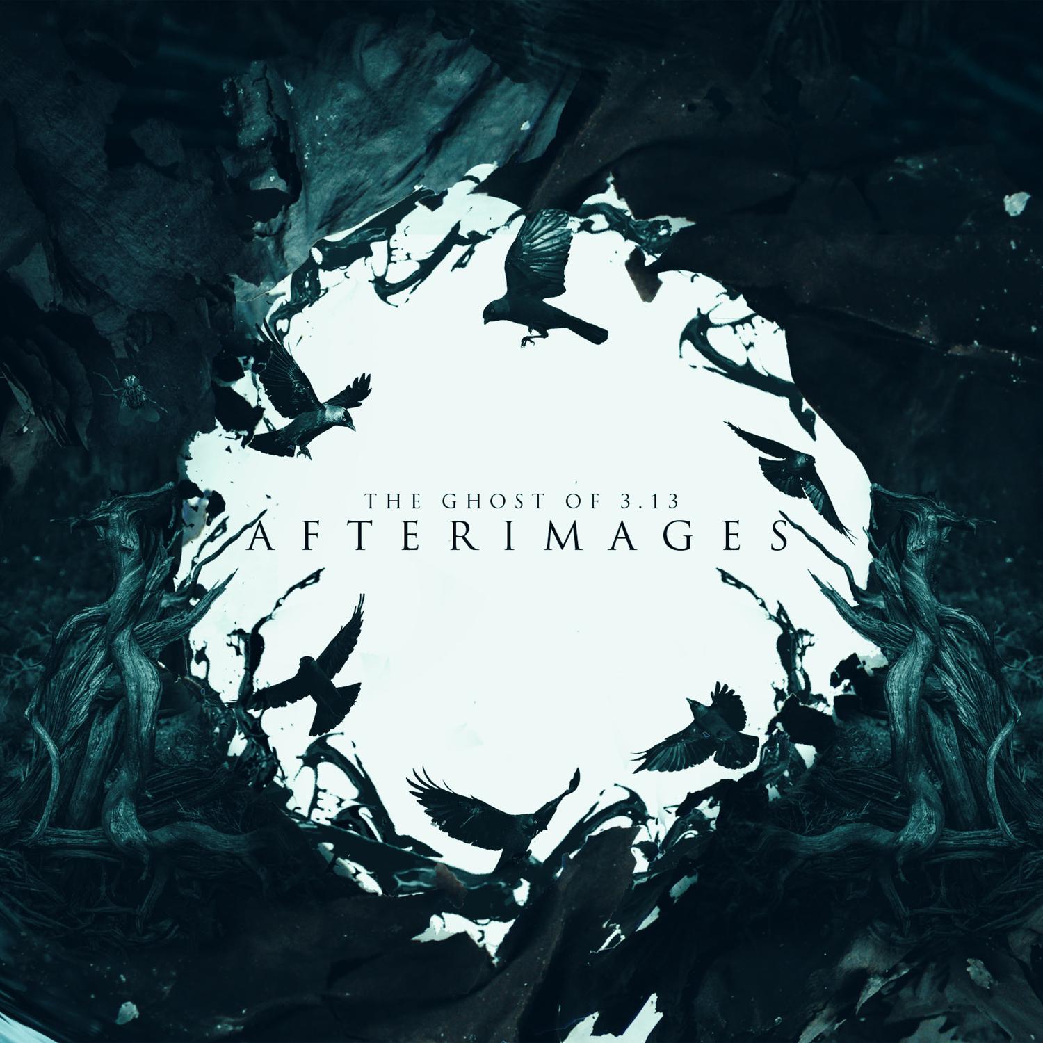 Afterimages