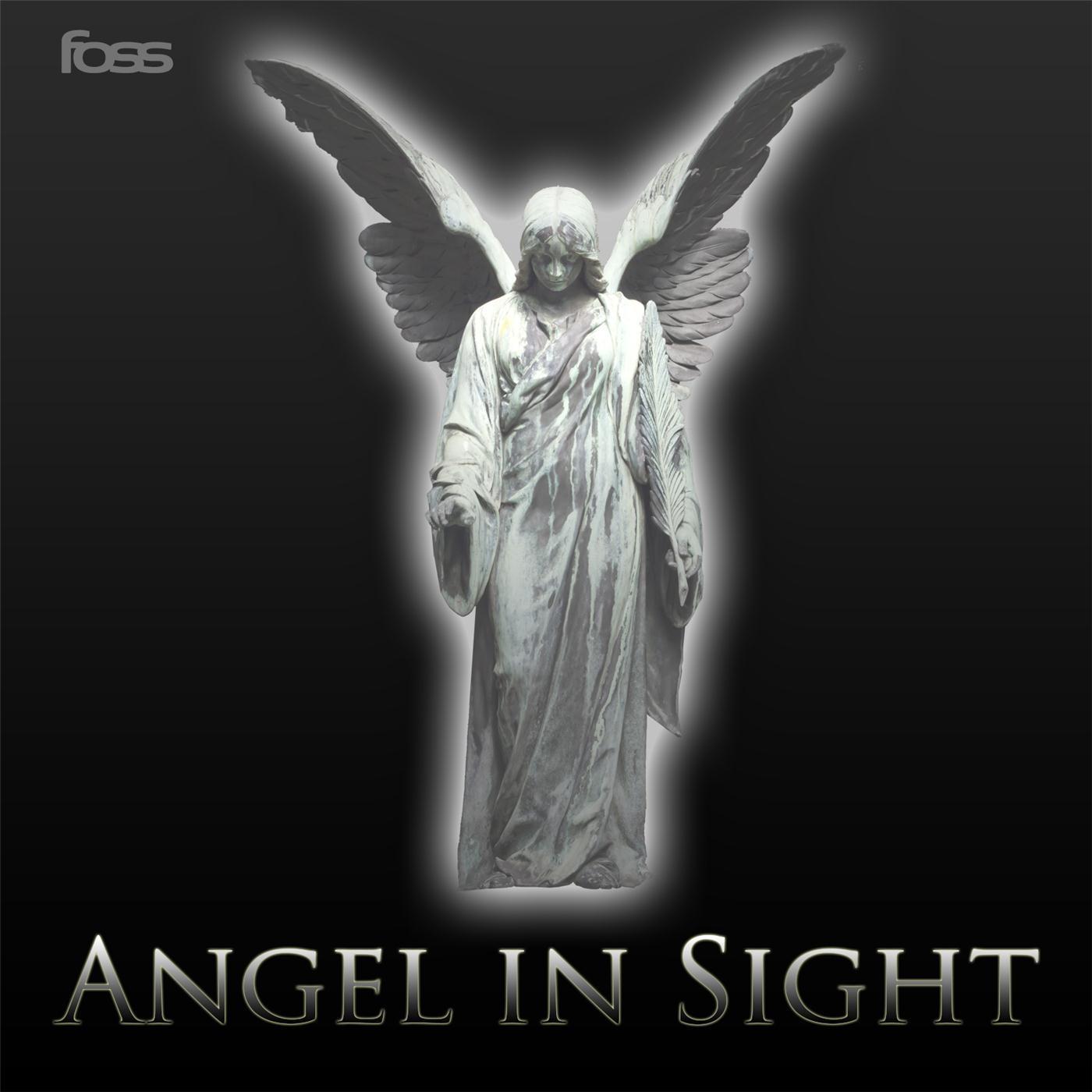 Angel in Sight