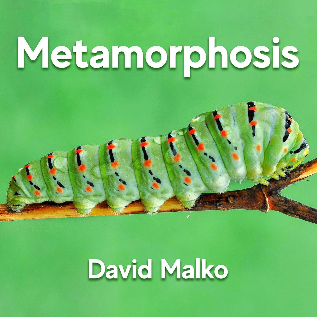 Metamorphosis