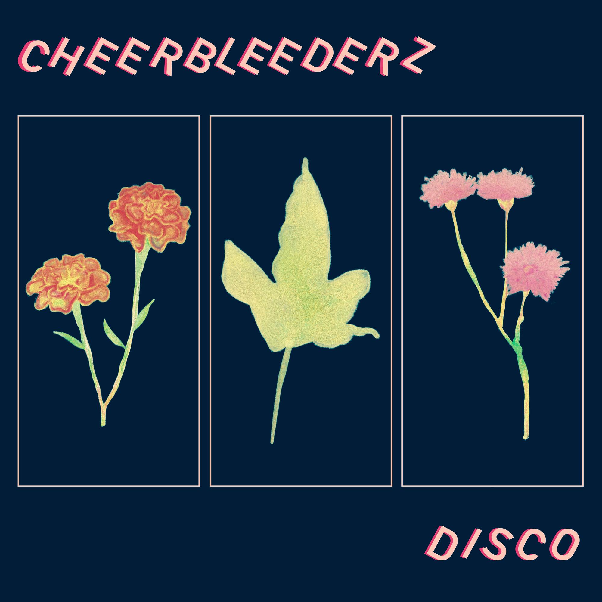 Disco