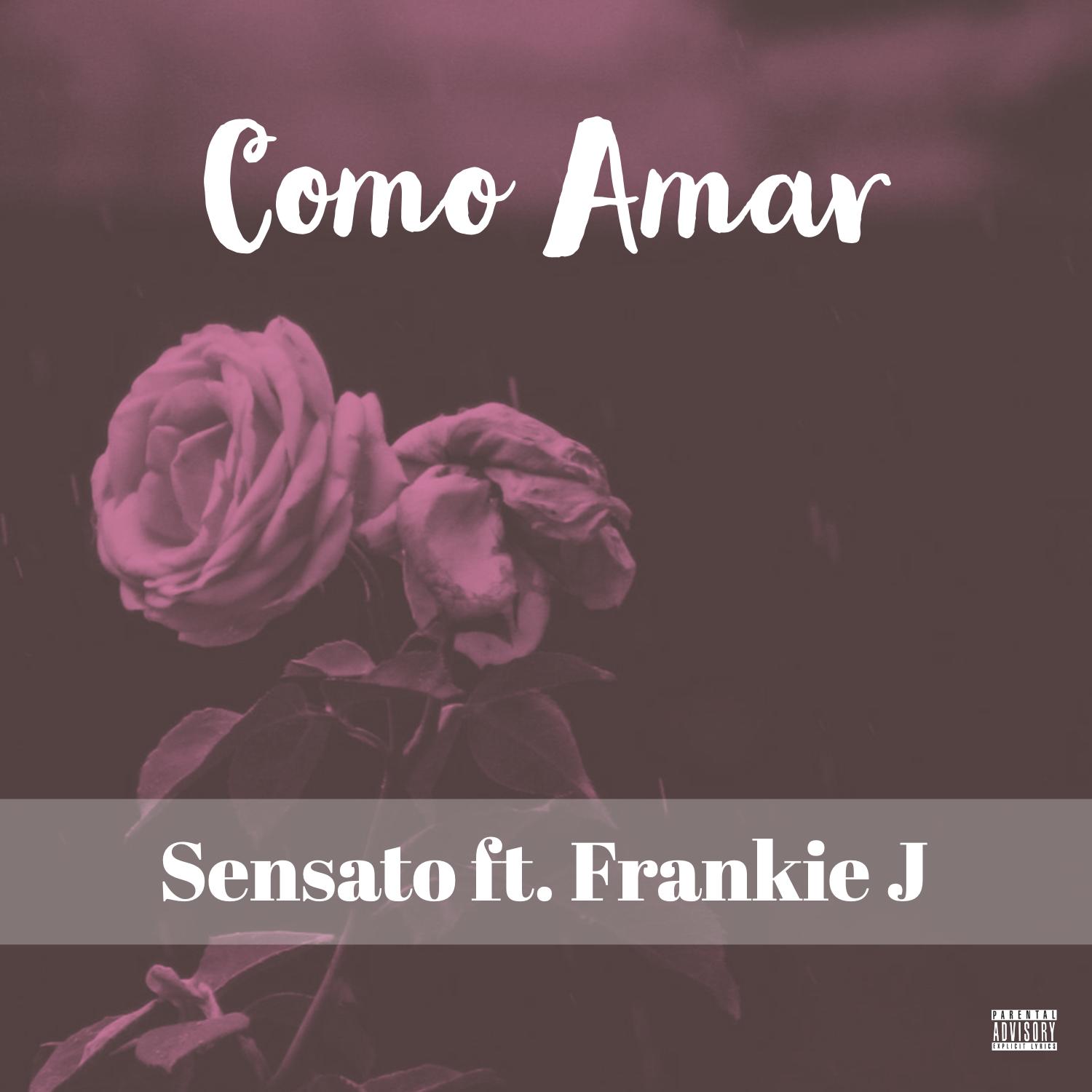 Como Amar