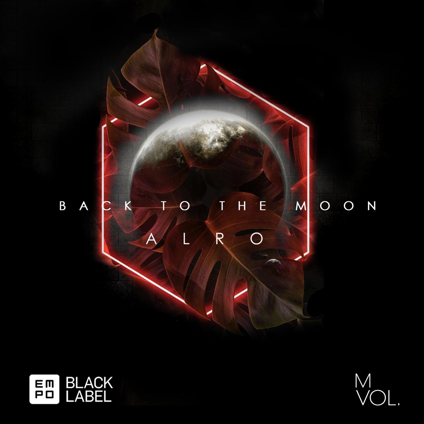 Back to the Moon