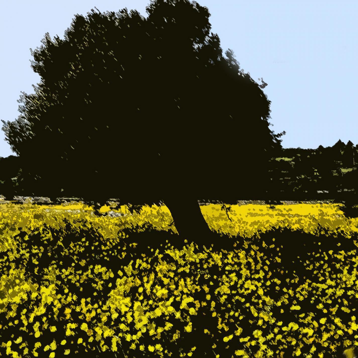 Spring Melodies II