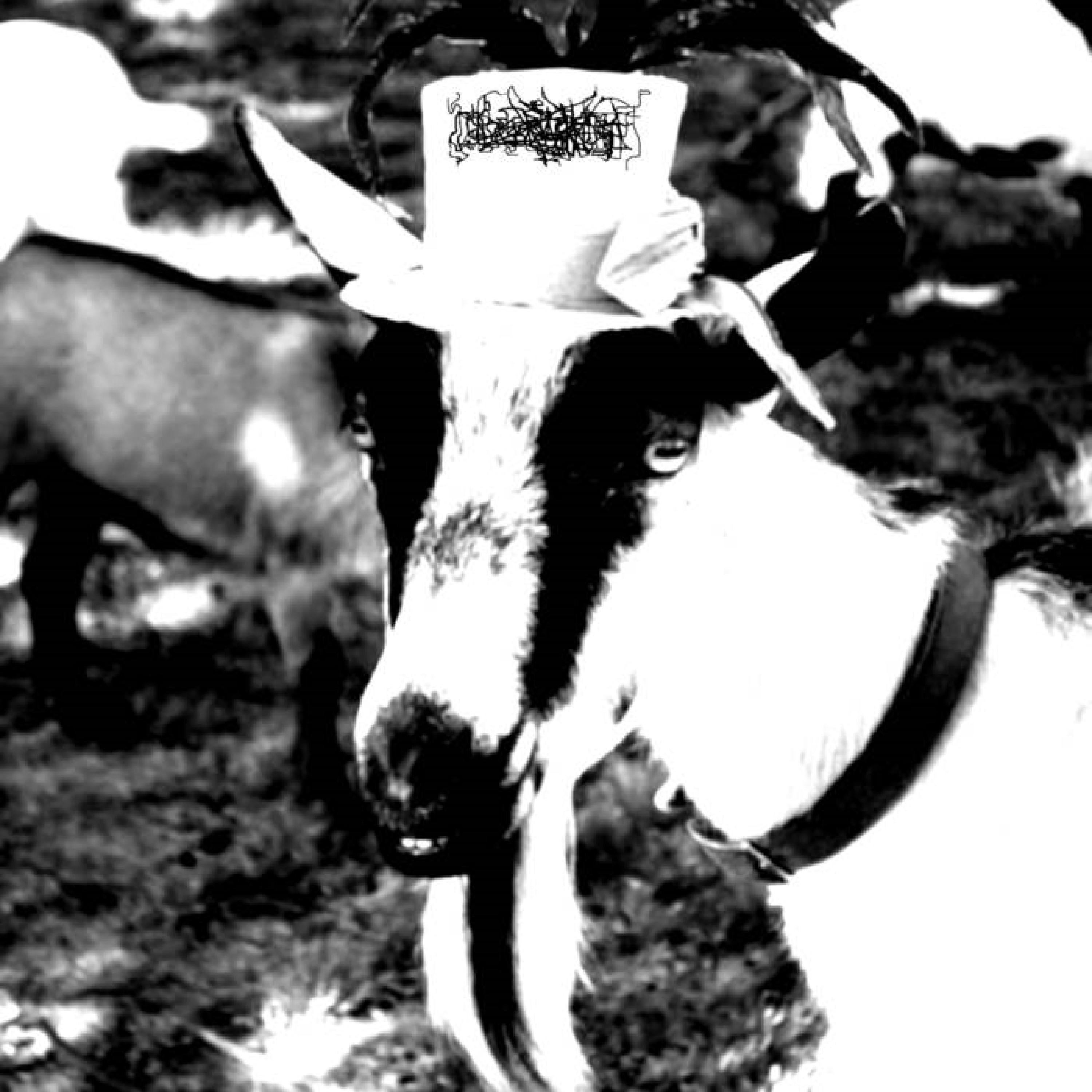 Operation Aquagoat