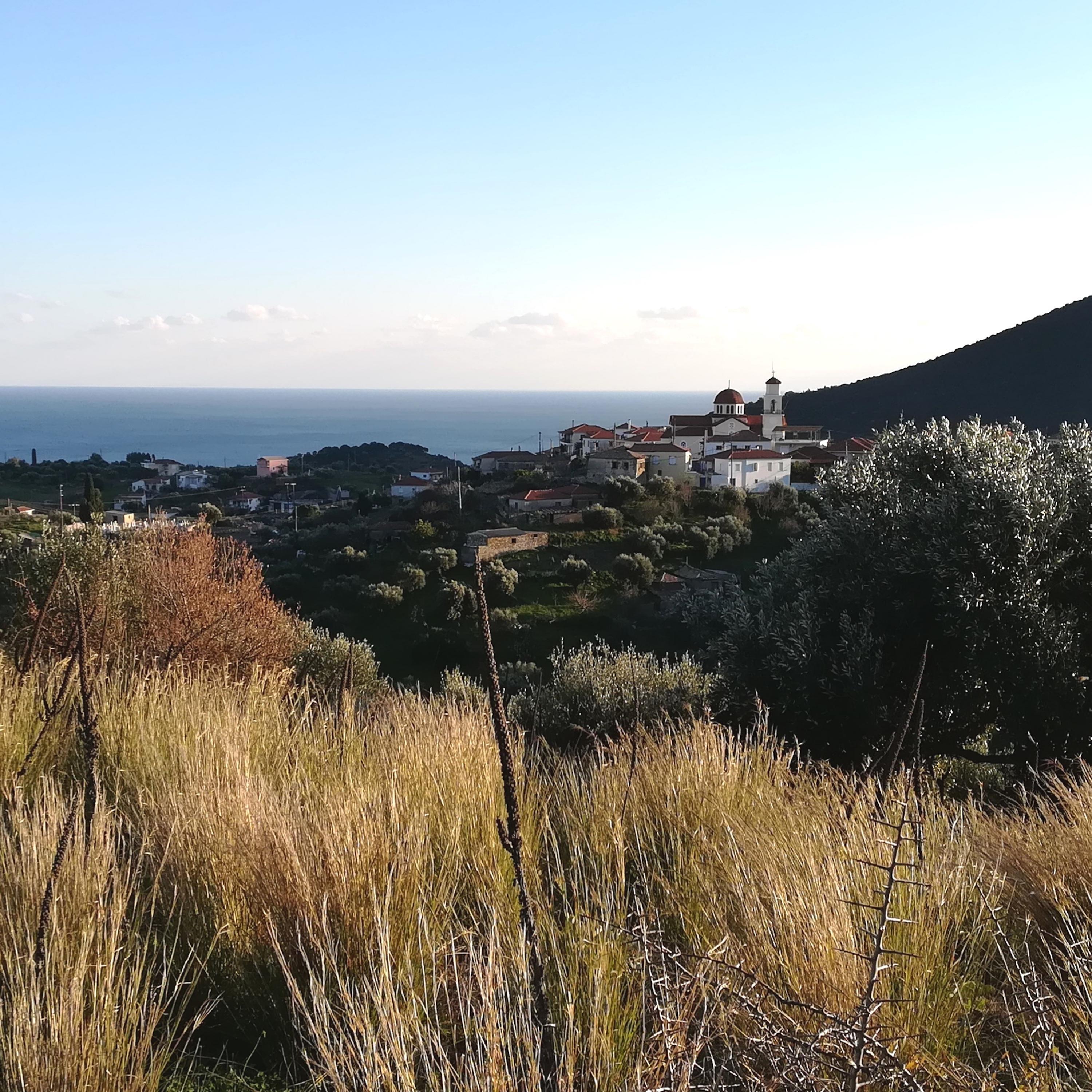 Vassisitsi