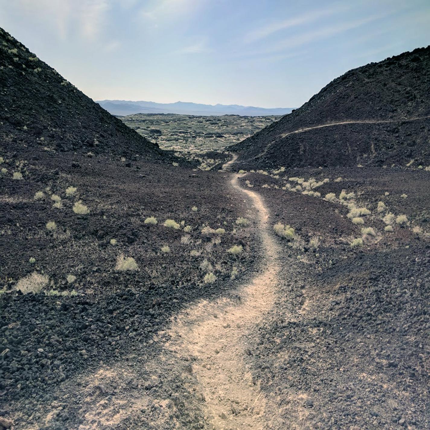 Walk in Desert