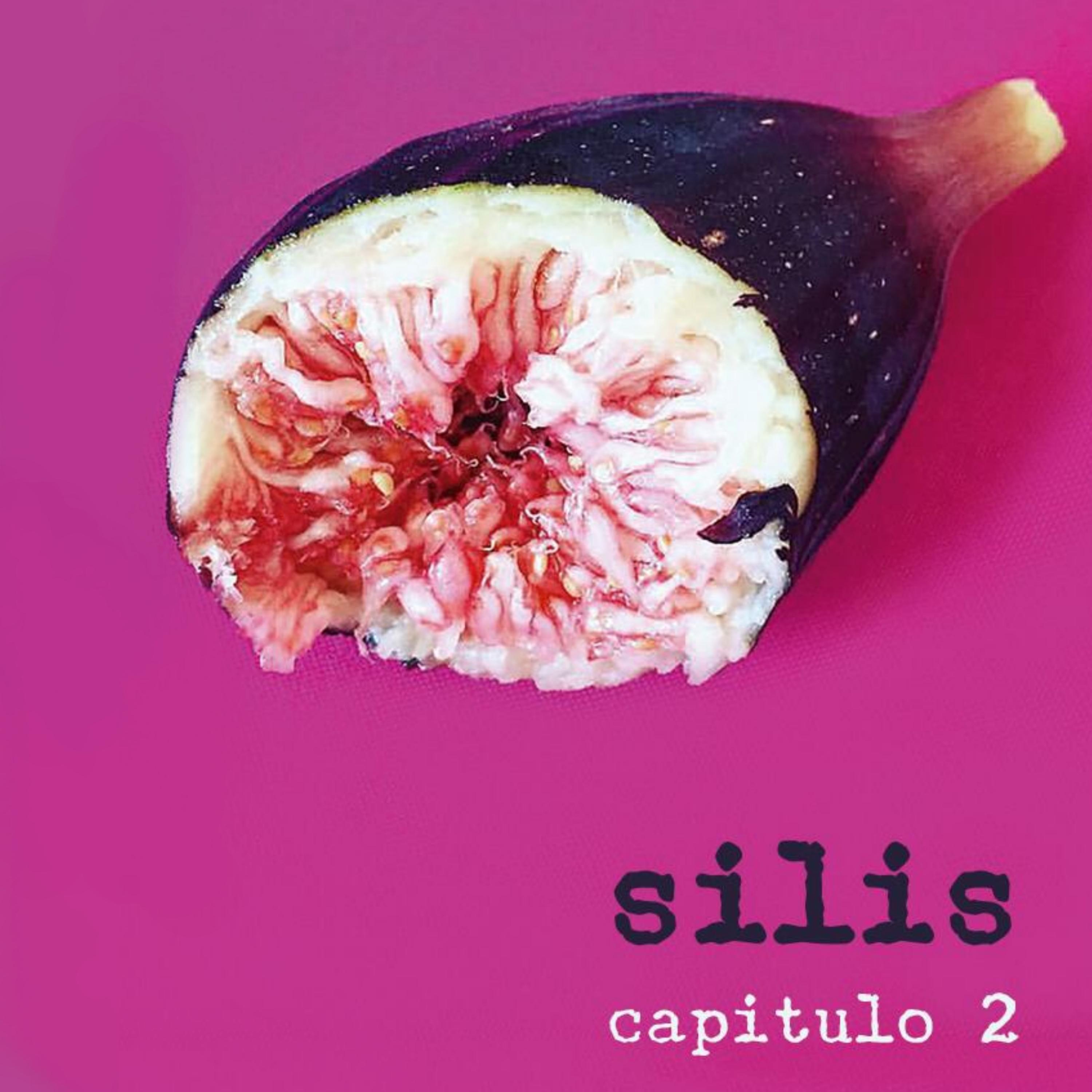 Capi tulo 2