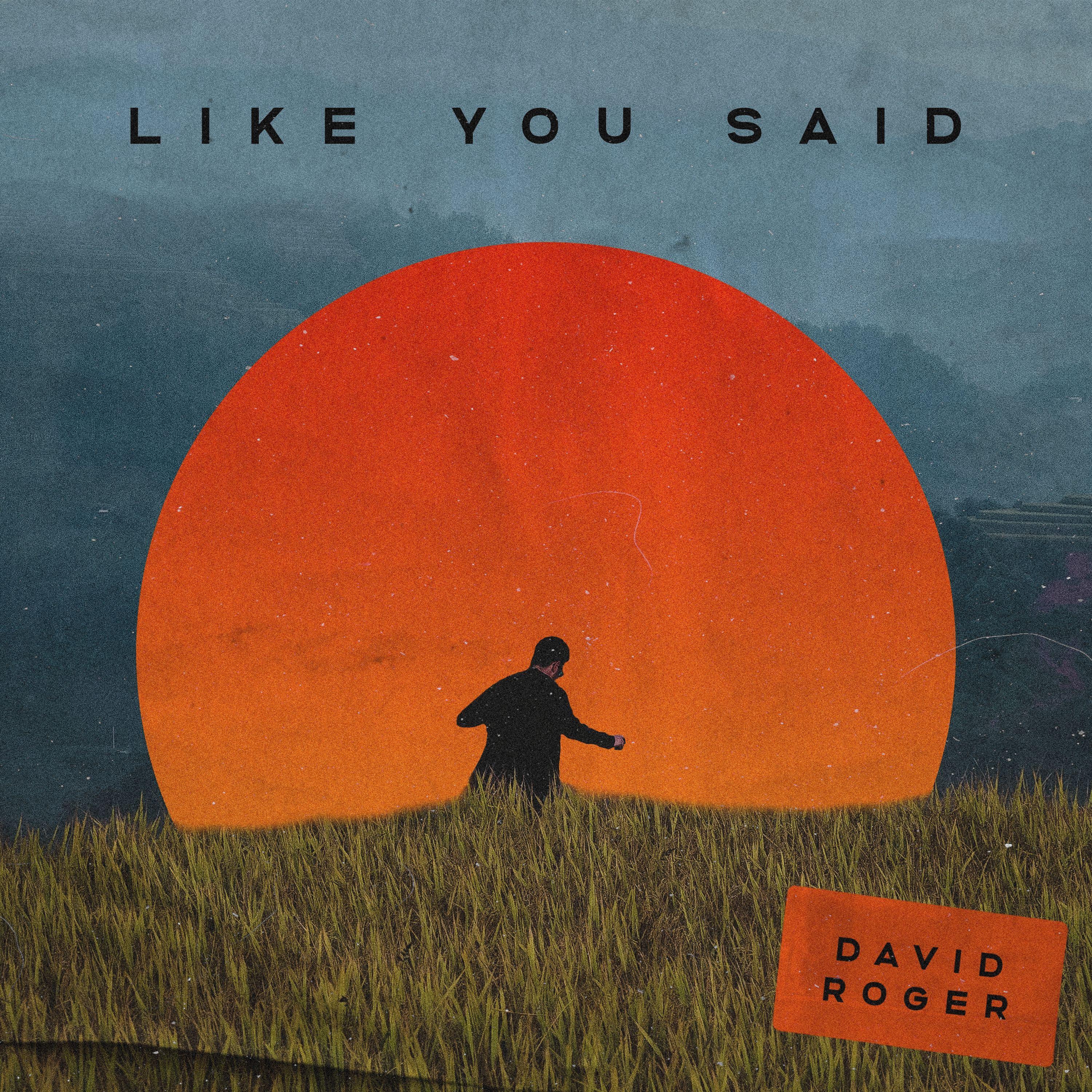 Like You Said