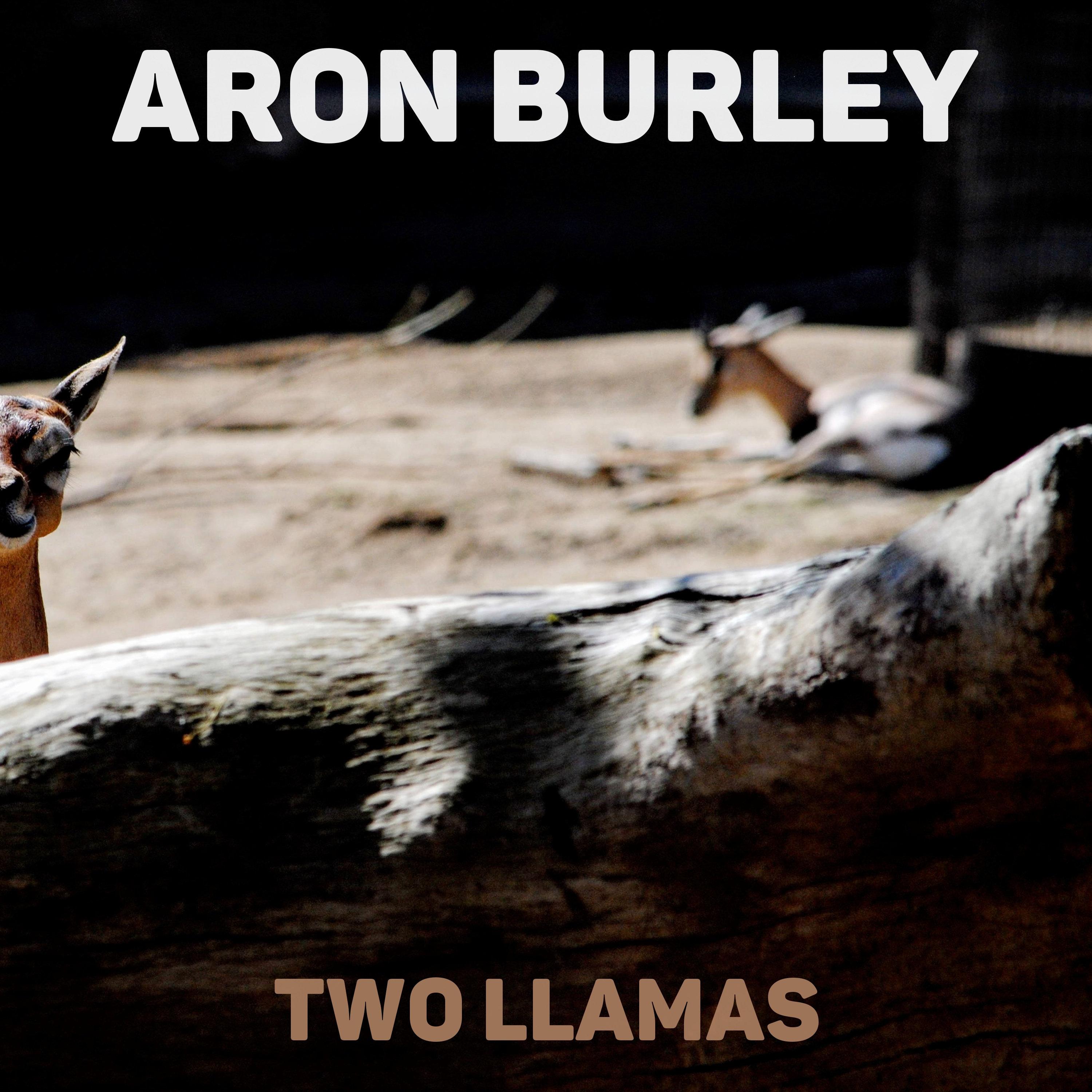 Two Llamas