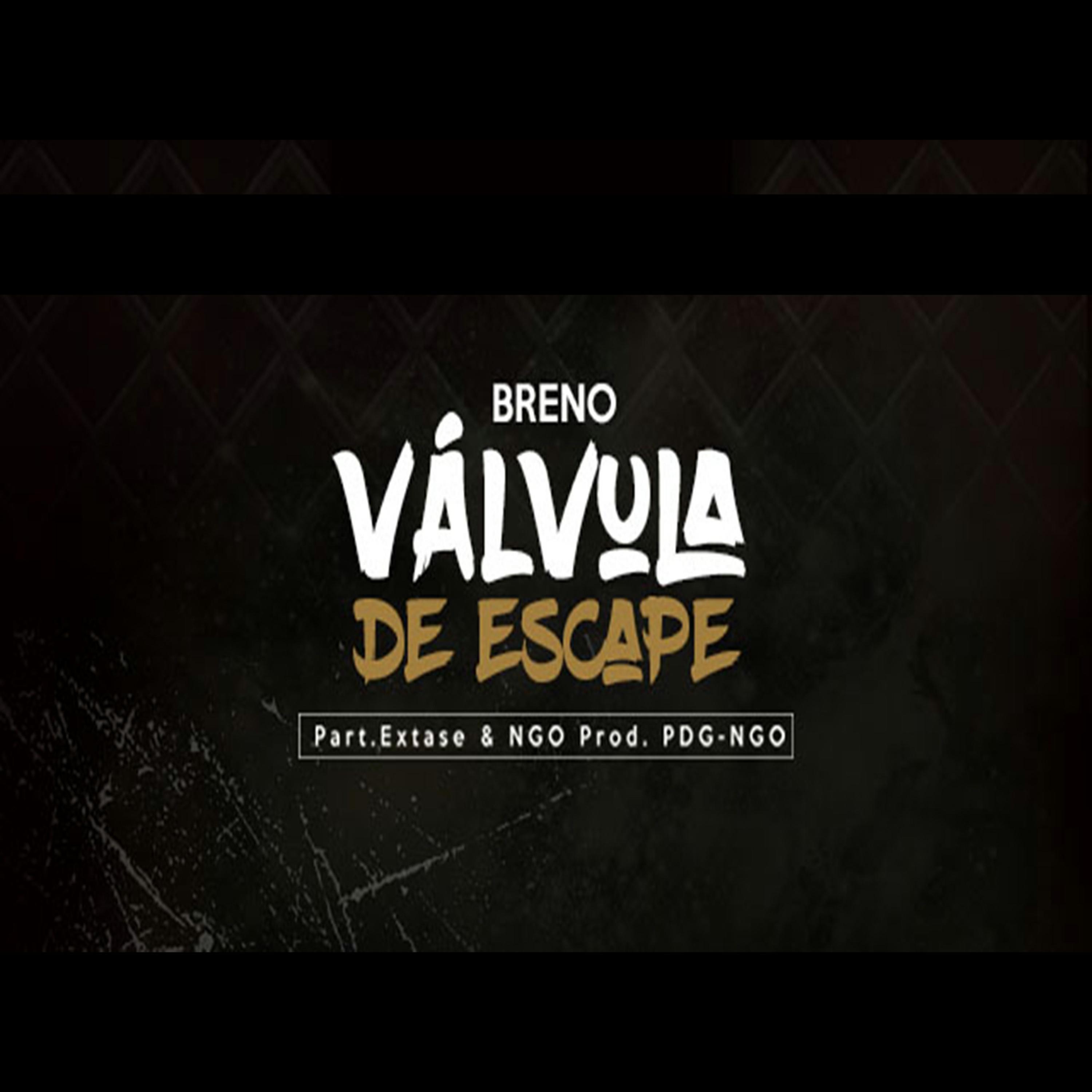 Va lvula de Escape