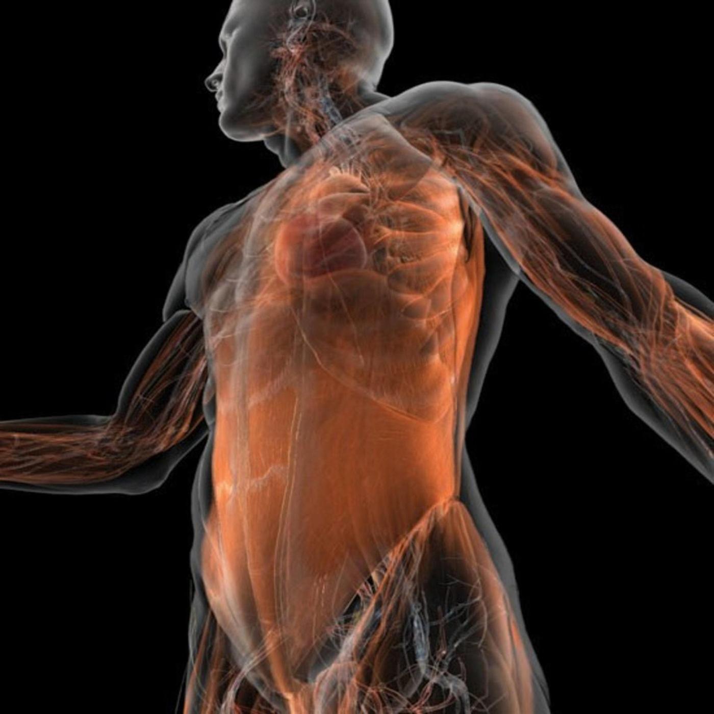 Neuromodulation