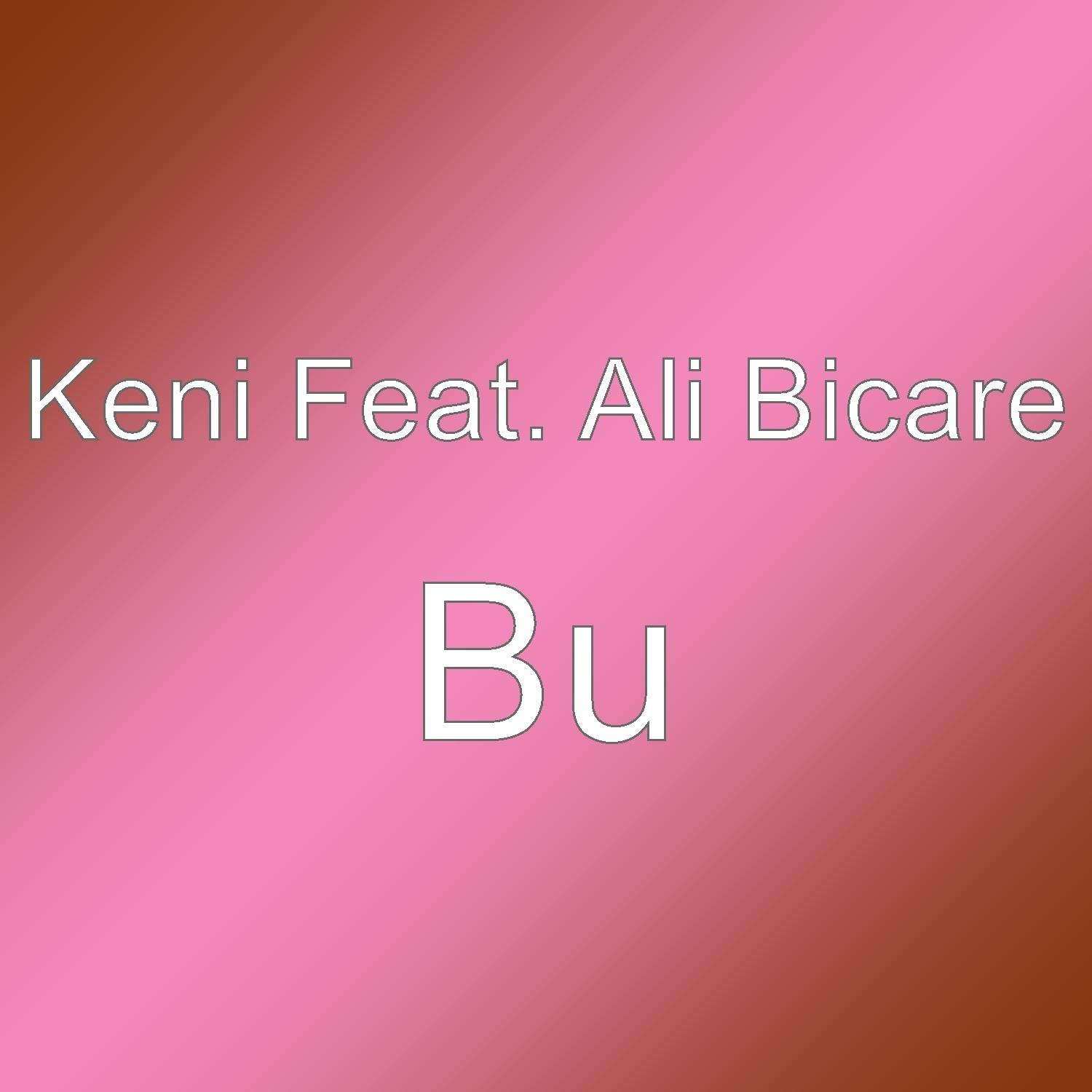 Bu