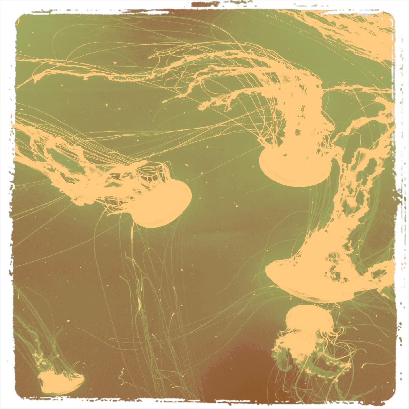 Desert Call