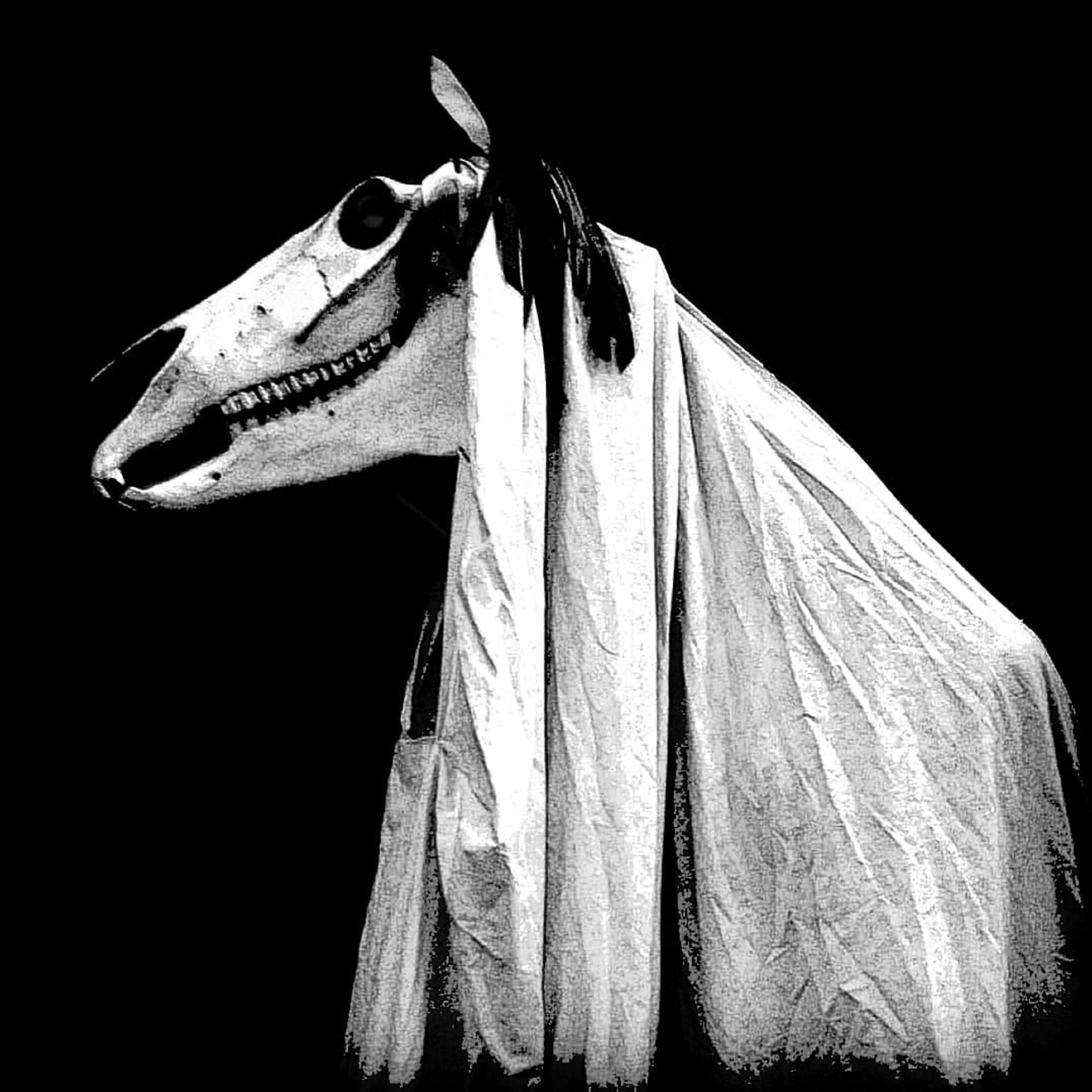 Grey Mare