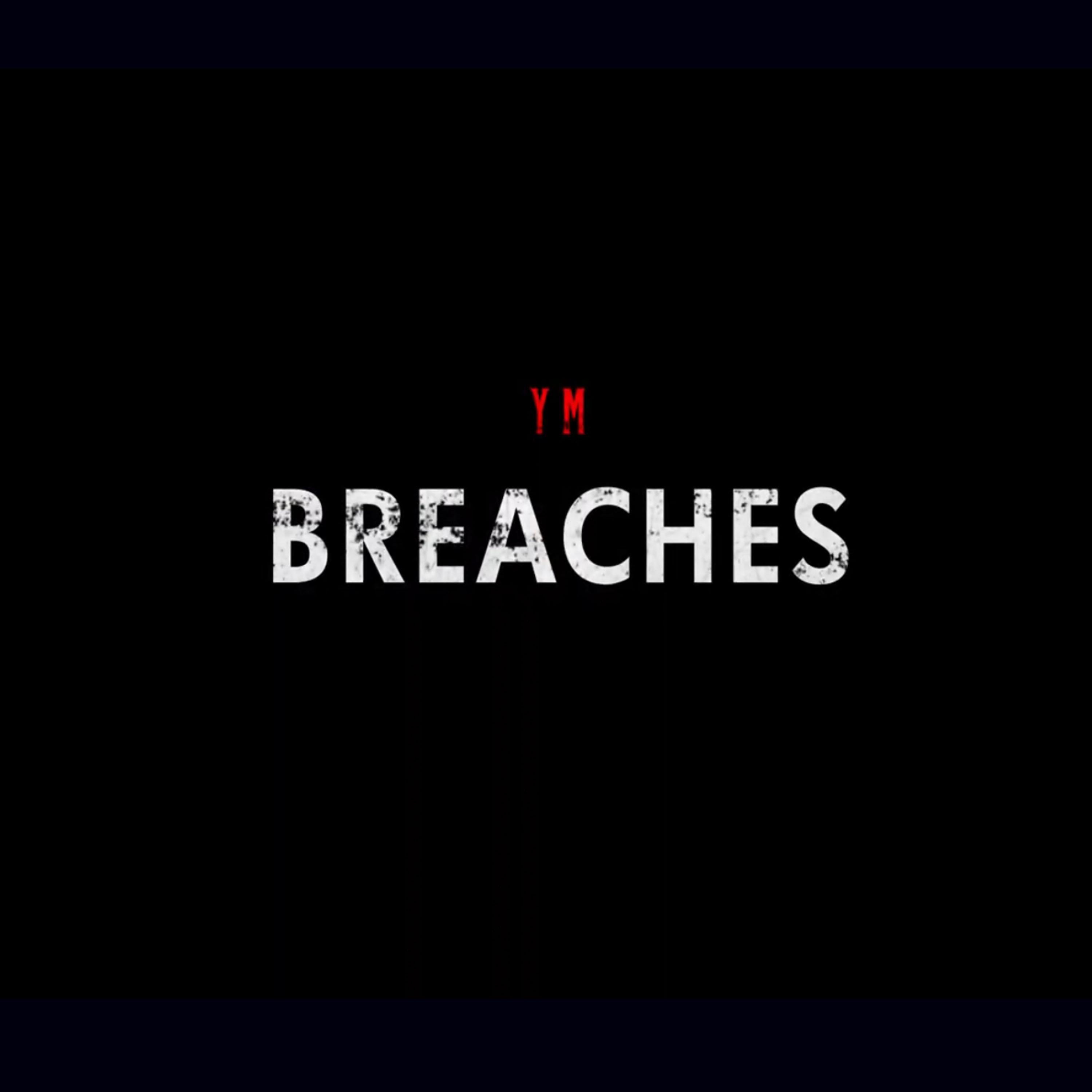 Breaches