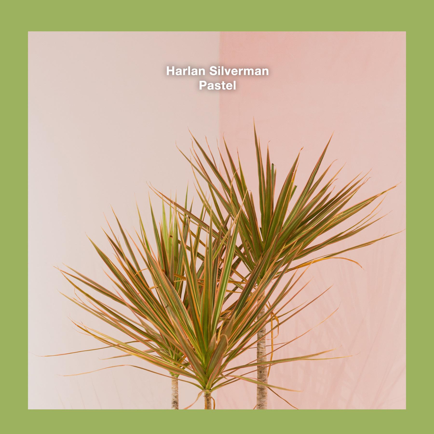 Pastel