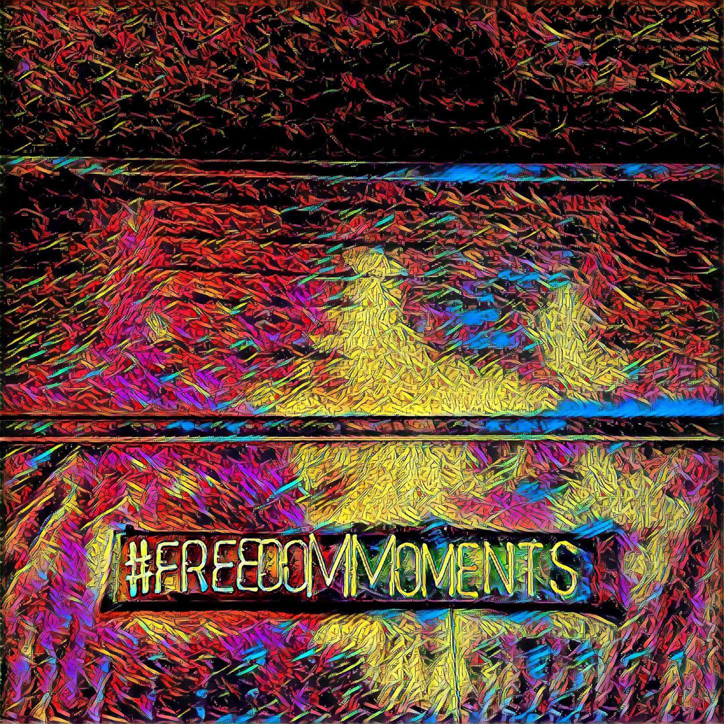 FREEDOM MOMENTS
