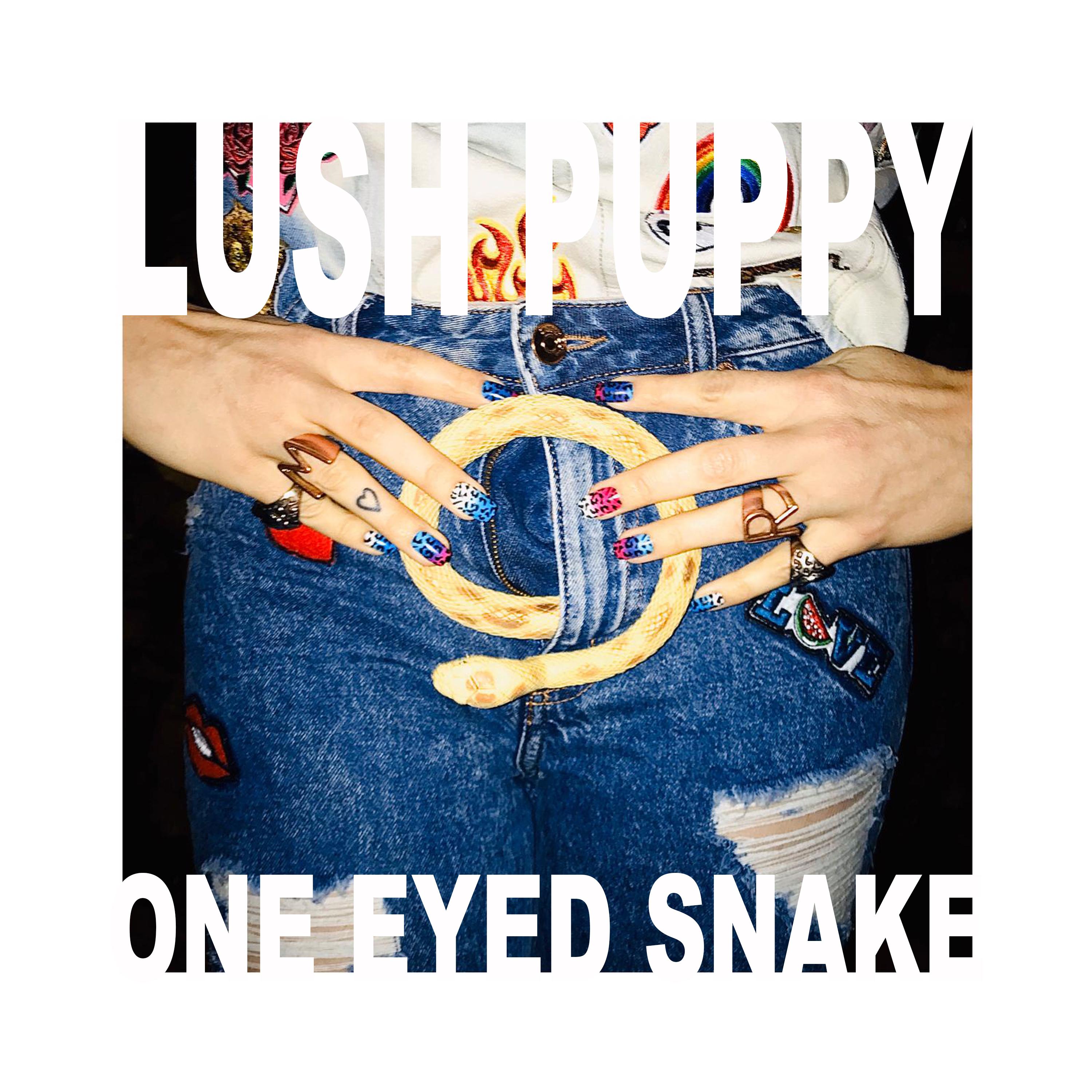 One Eyed Snake