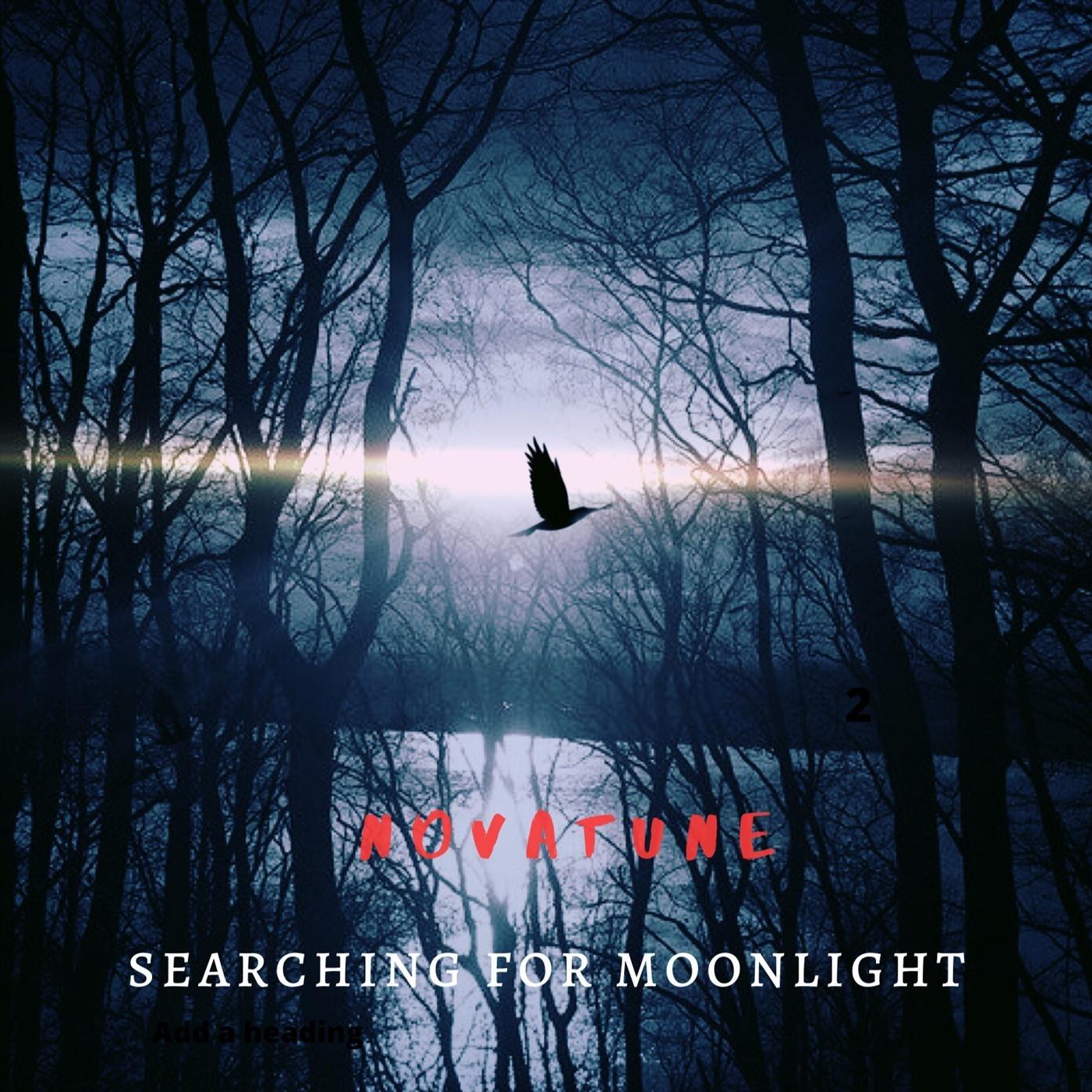 Searching for Moonlight