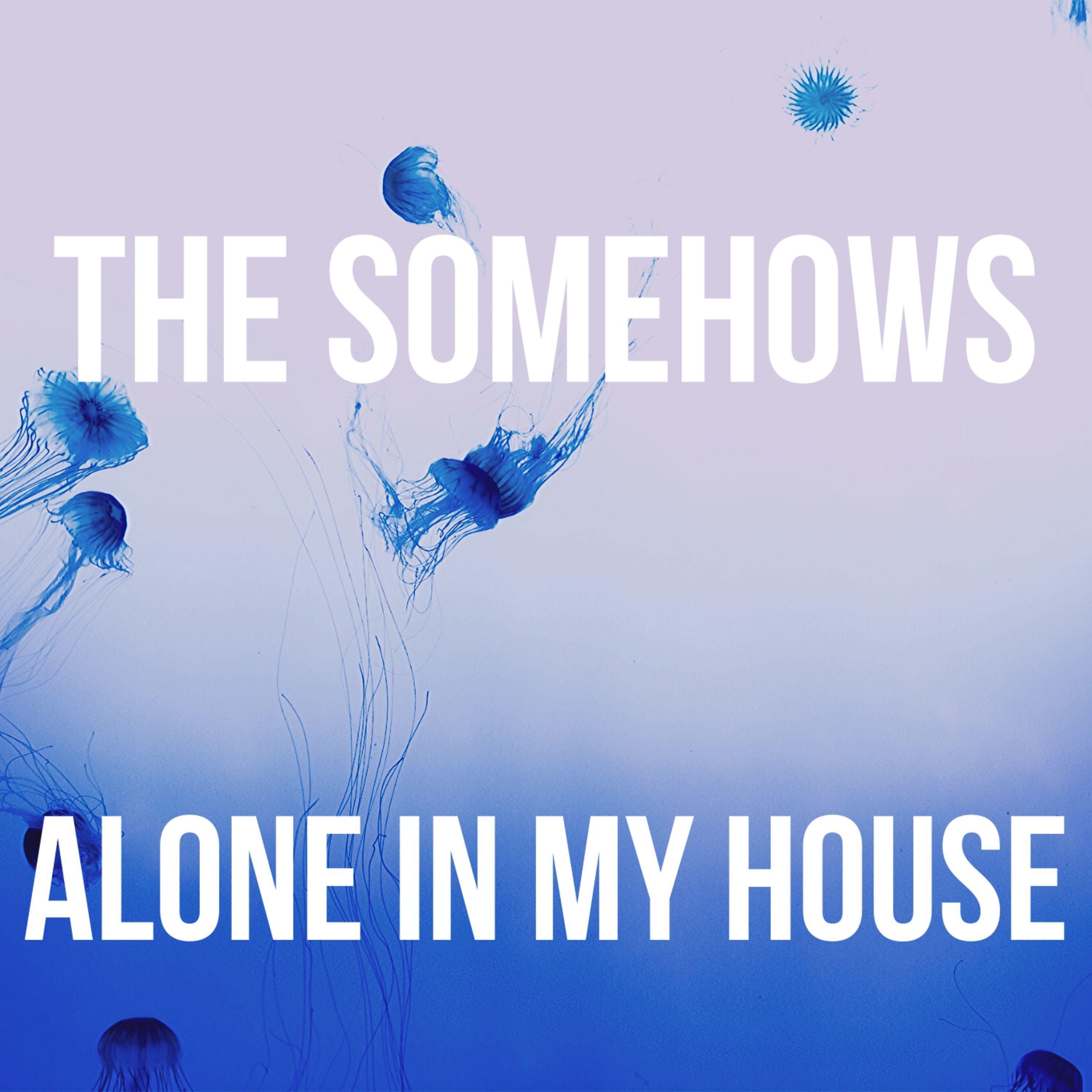 Alone in My House