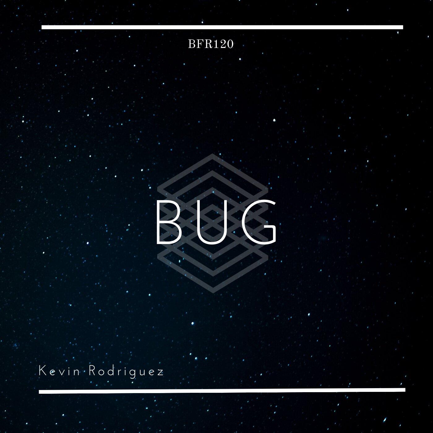 Bug