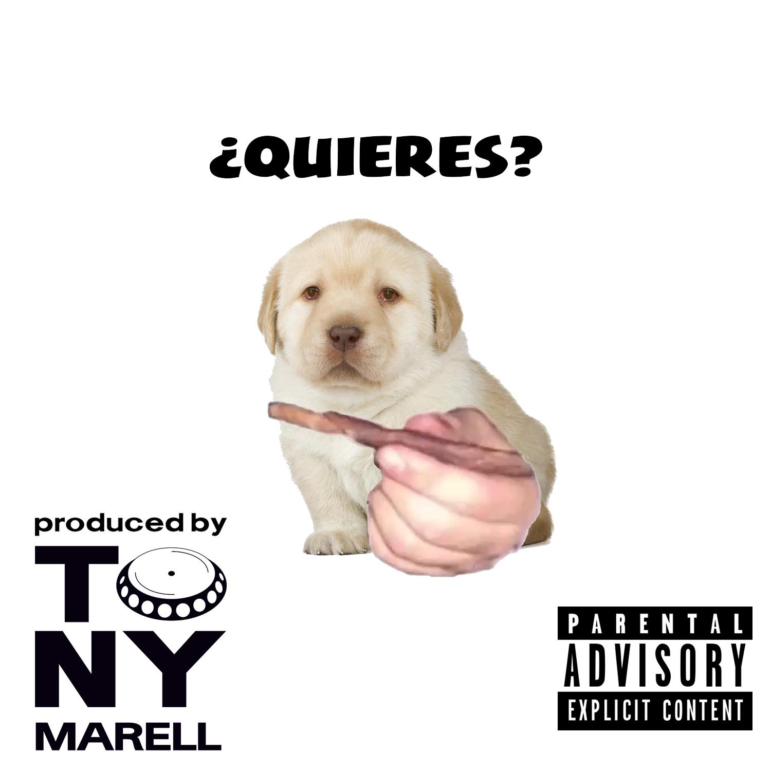Quieres?
