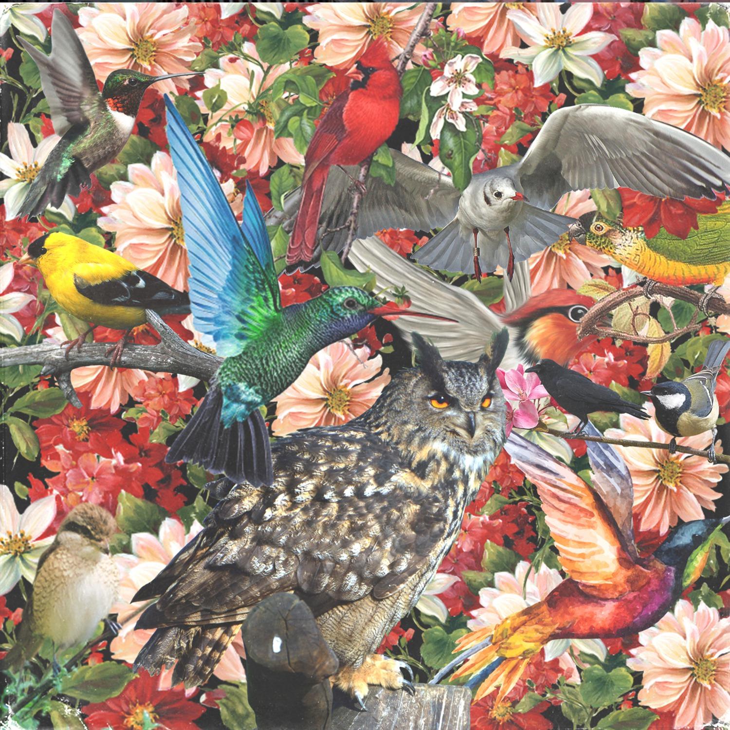AUDUBON