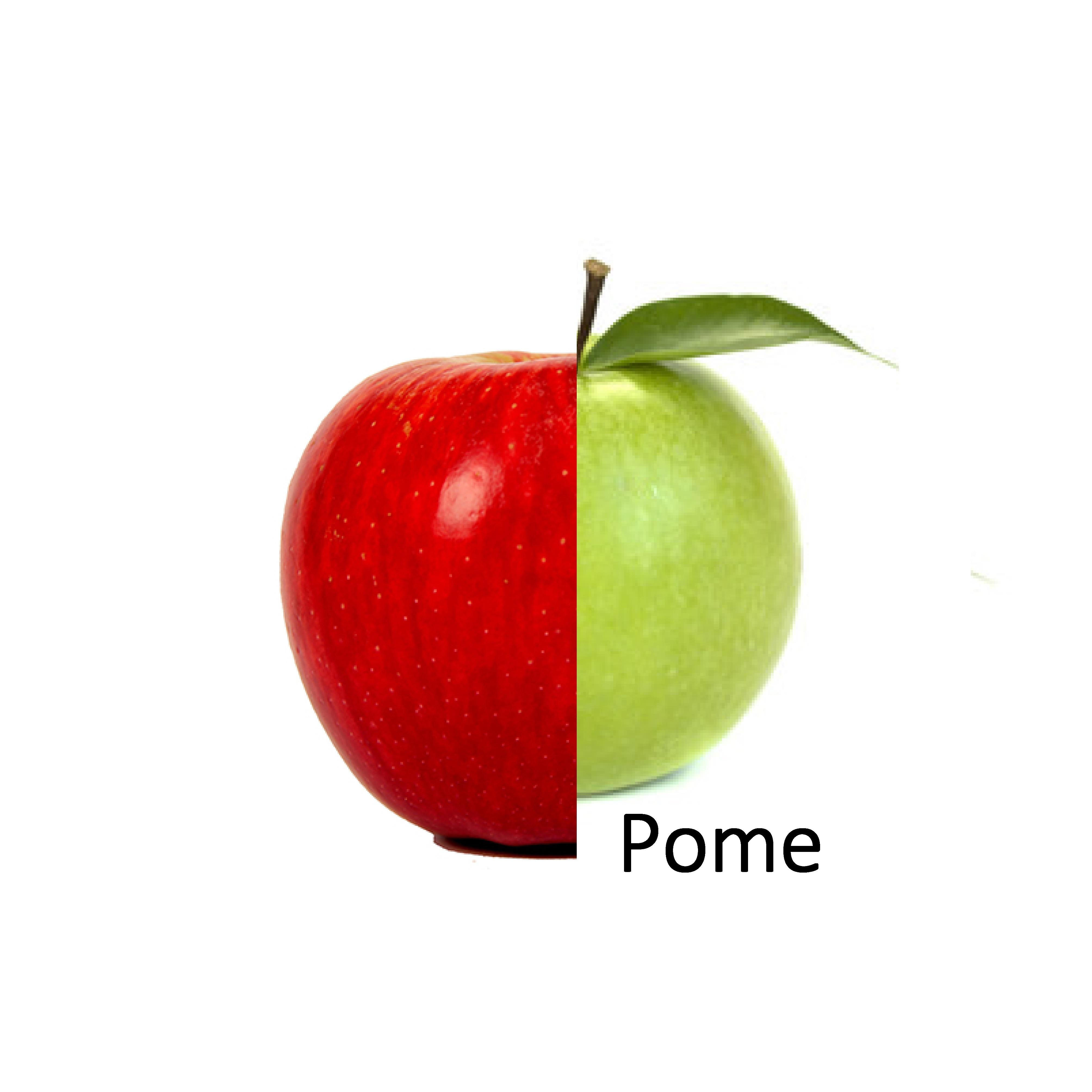 Pome