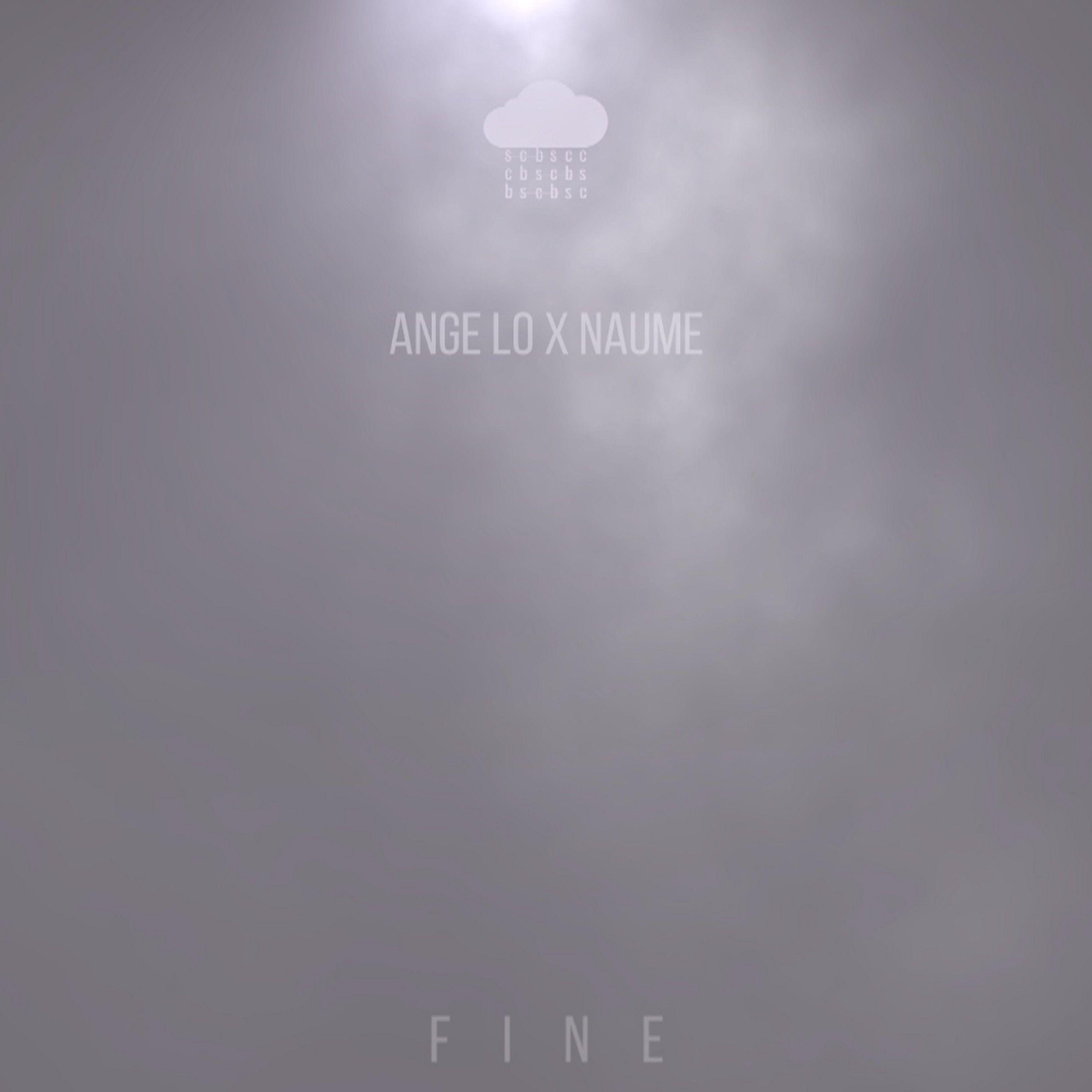 Fine