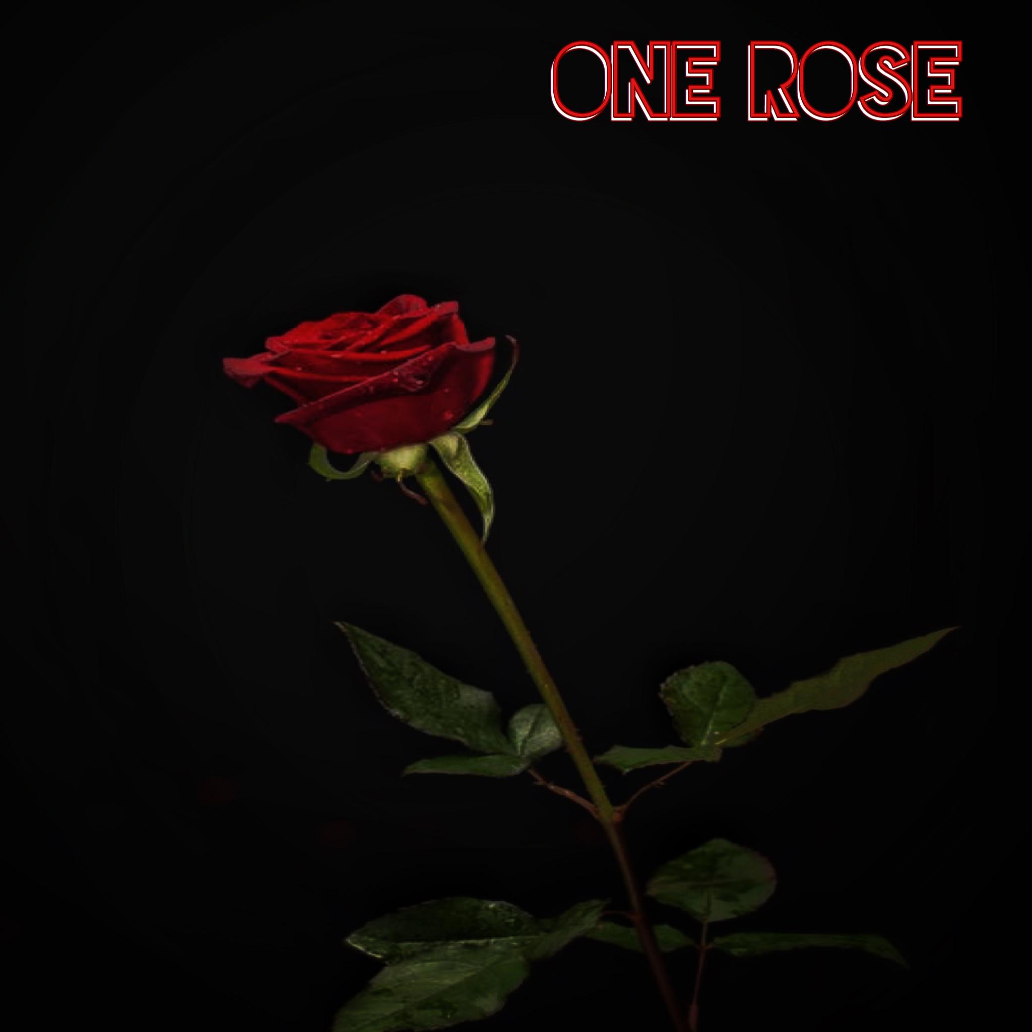 One Rose