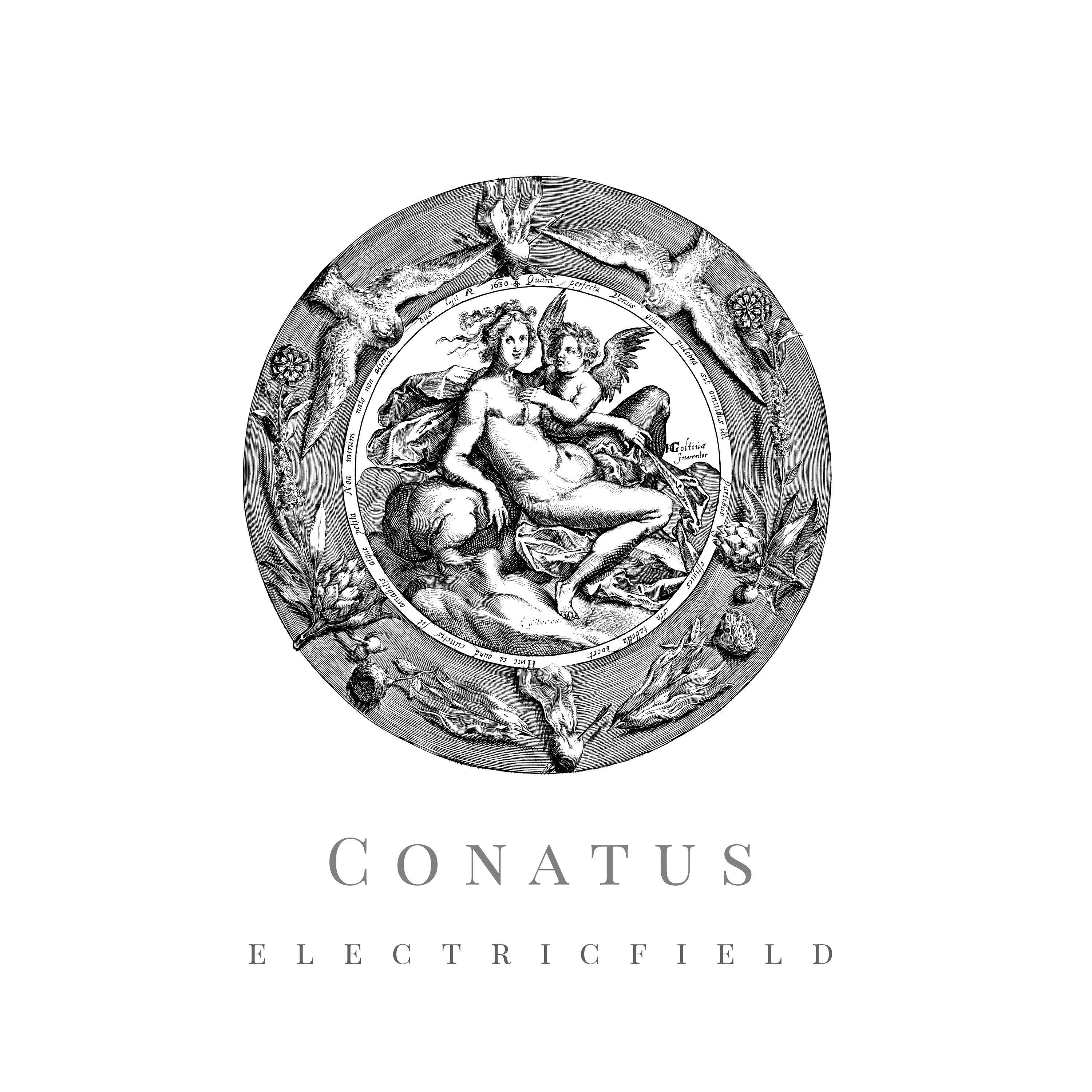 Conatus