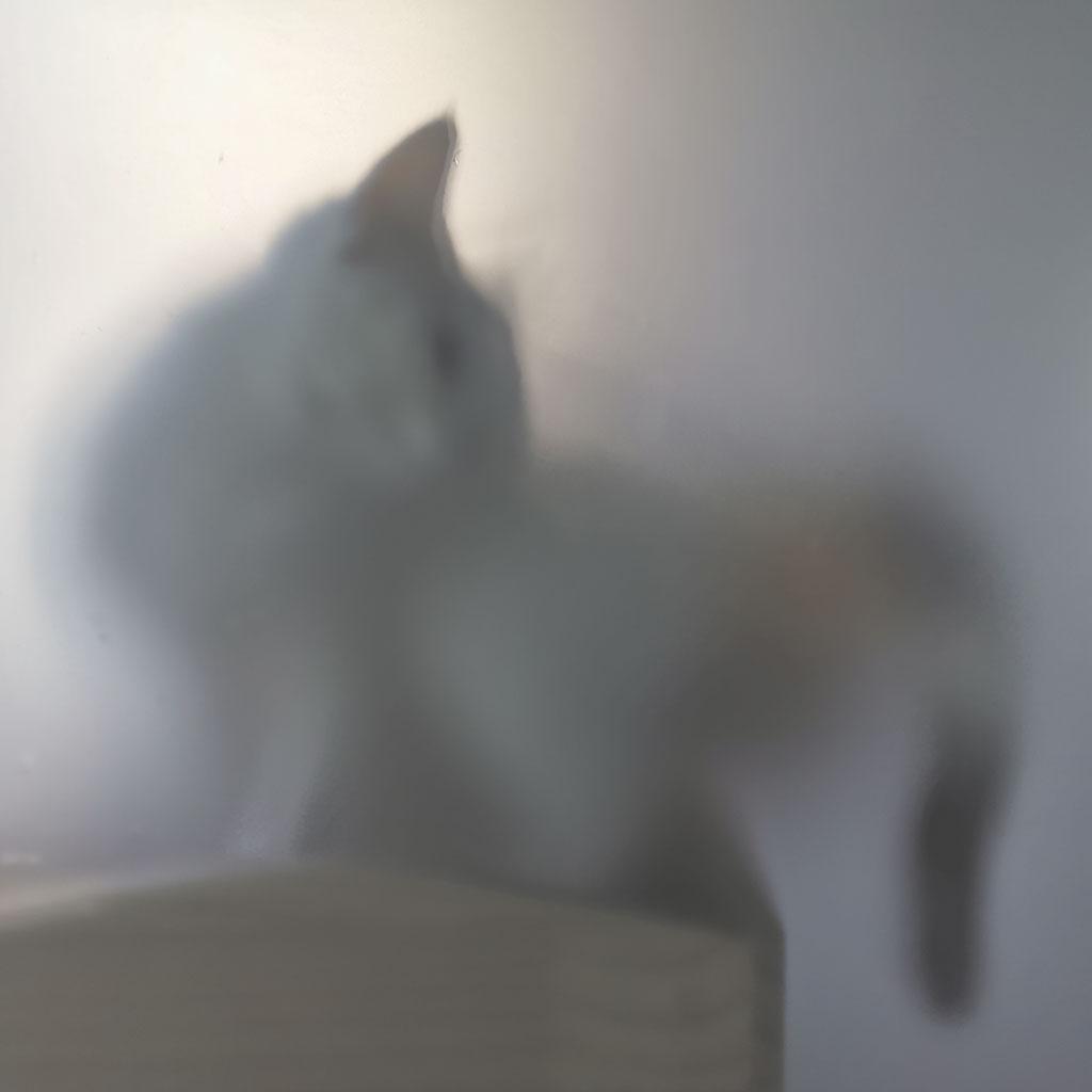 Will You Let Me Go With You