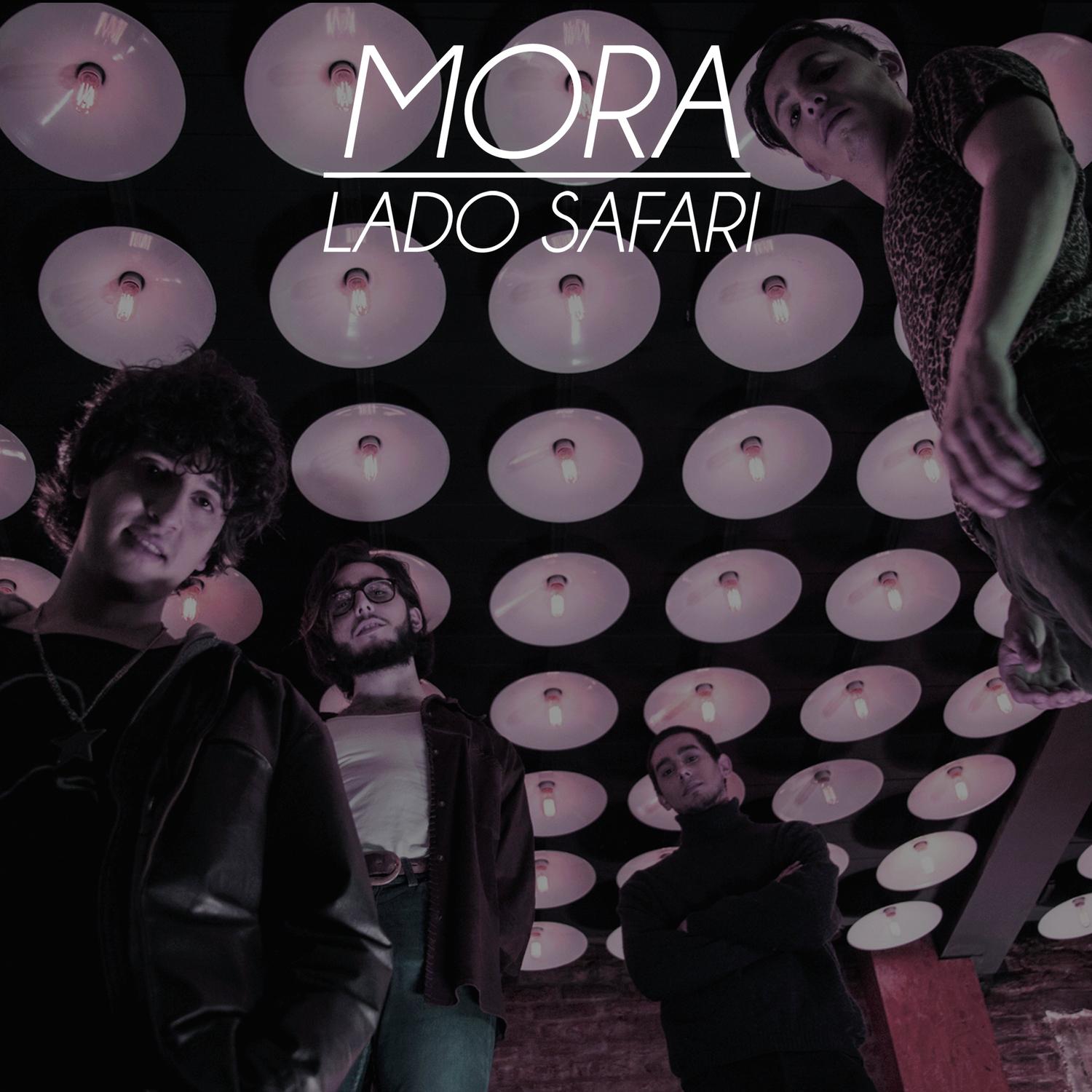Lado Safari