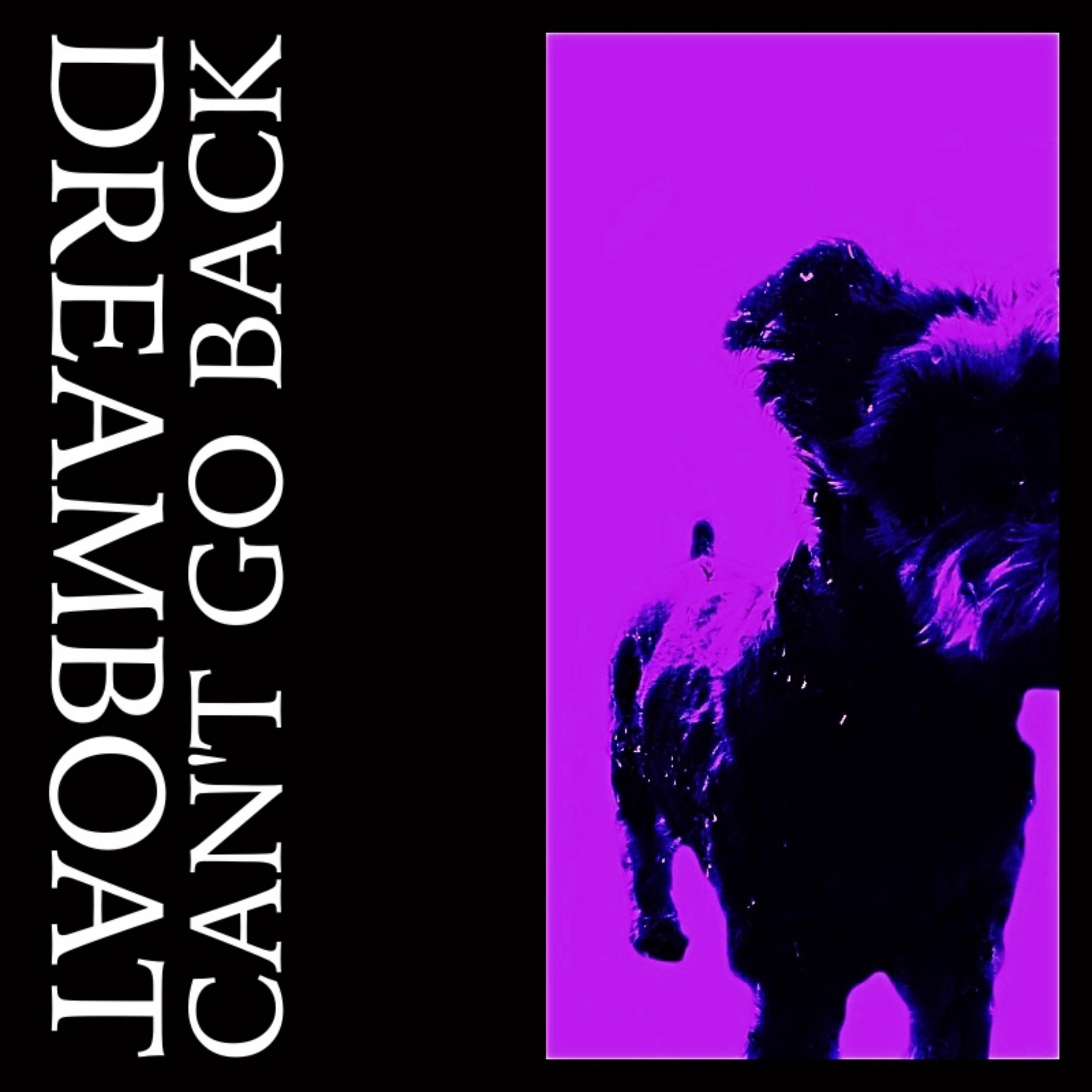 Can't Go Back