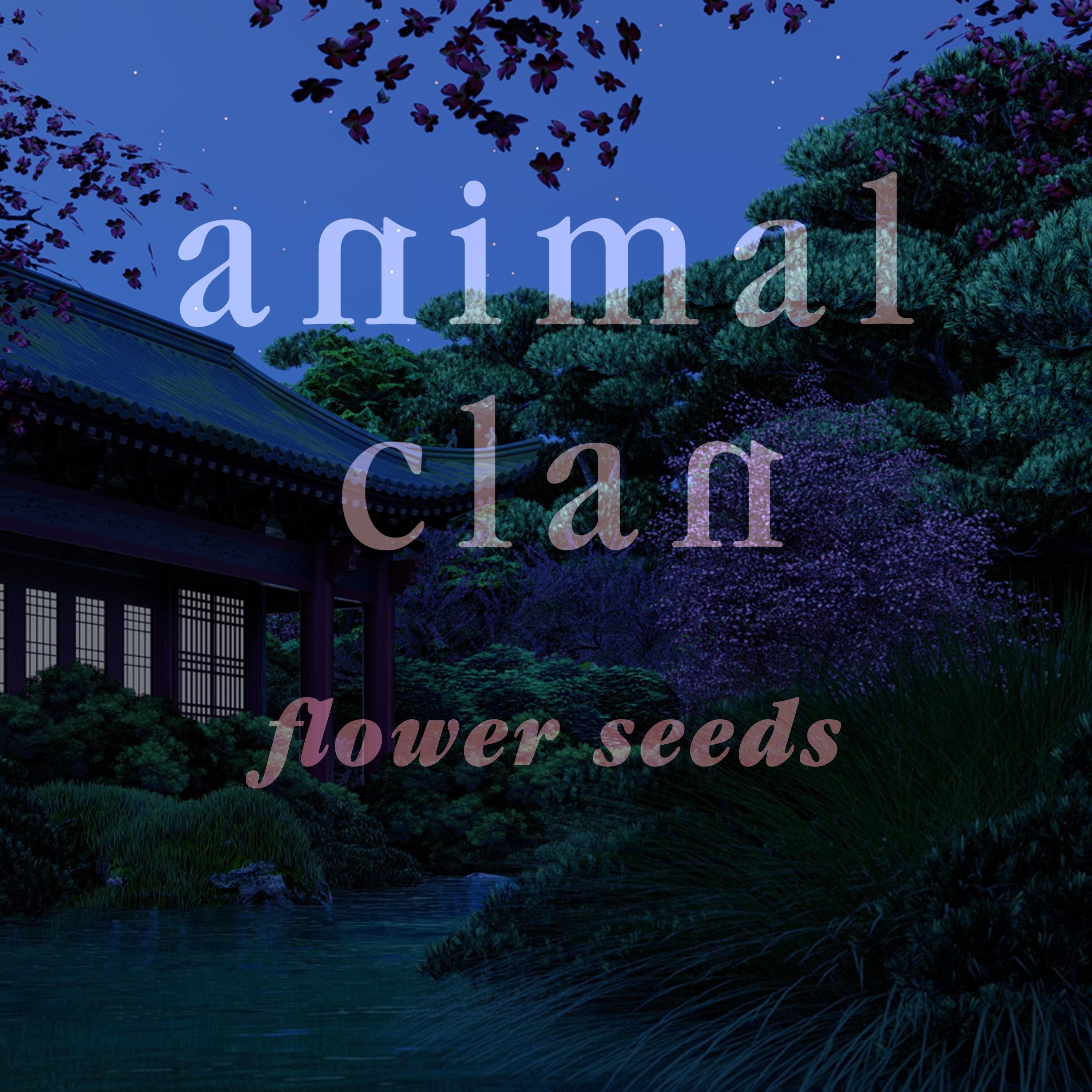 Flower Seeds
