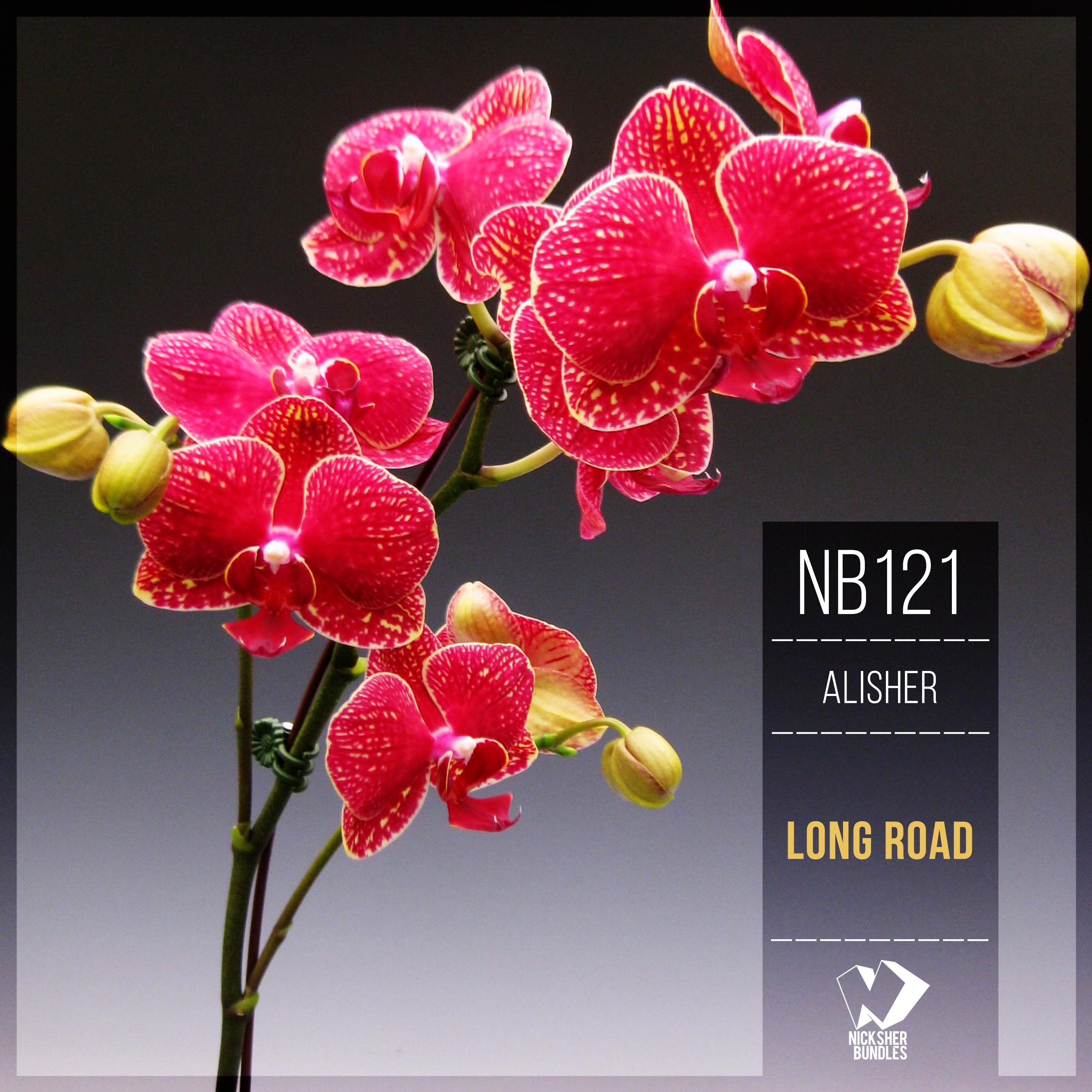 Long Road