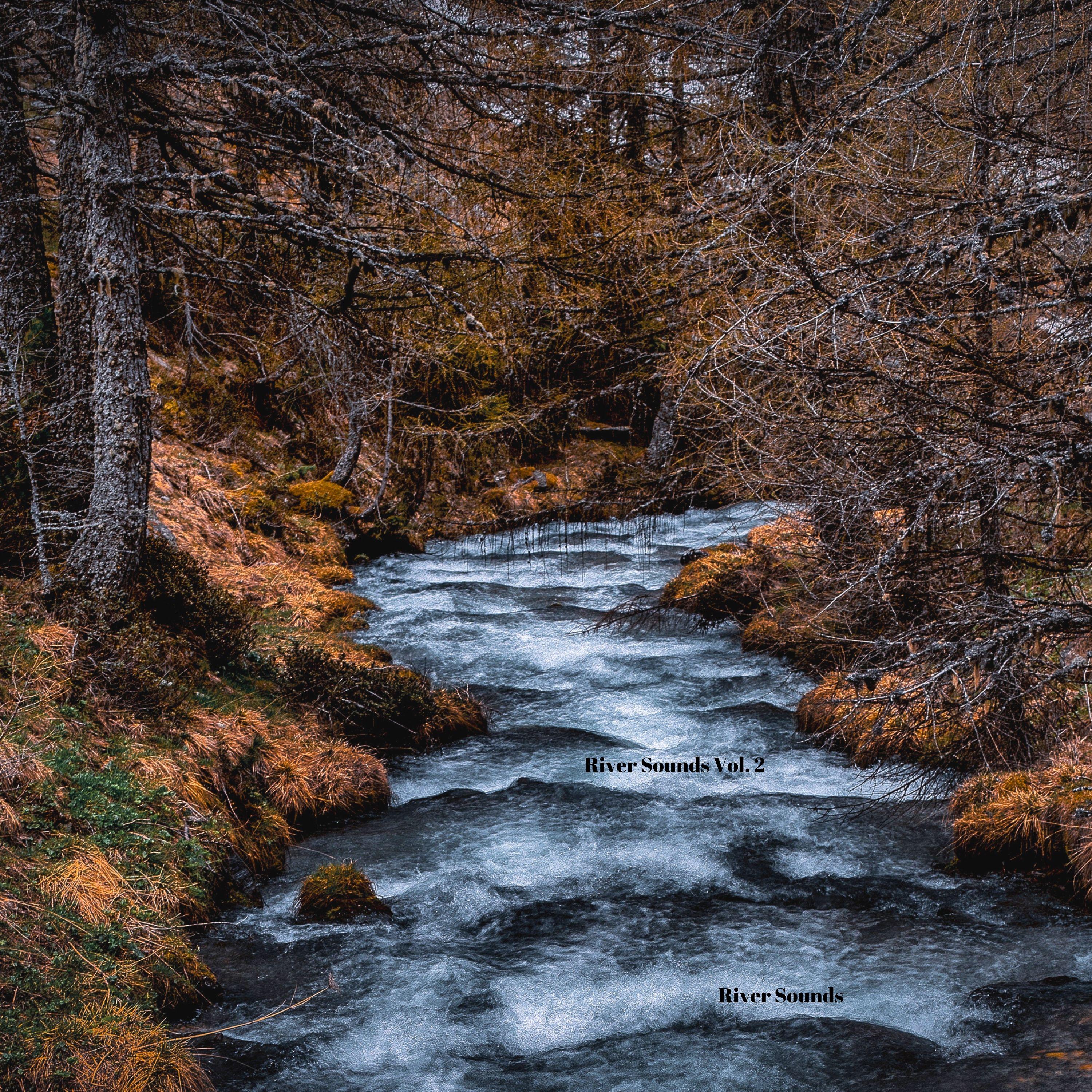 River With Humming
