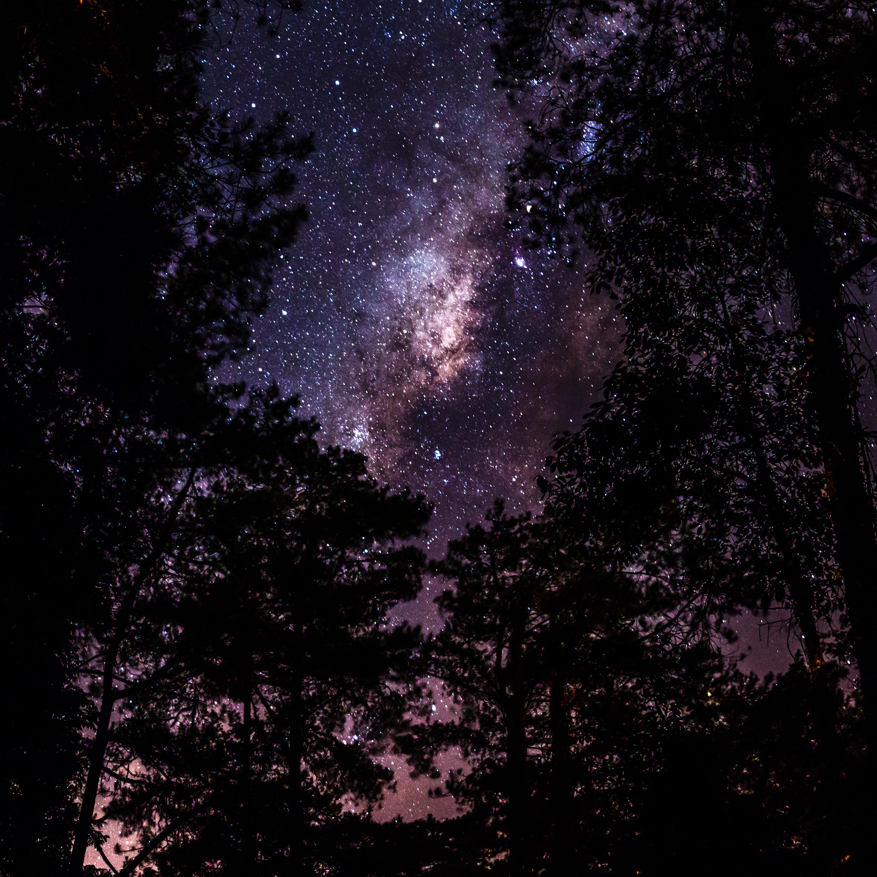 Sleep Meditation