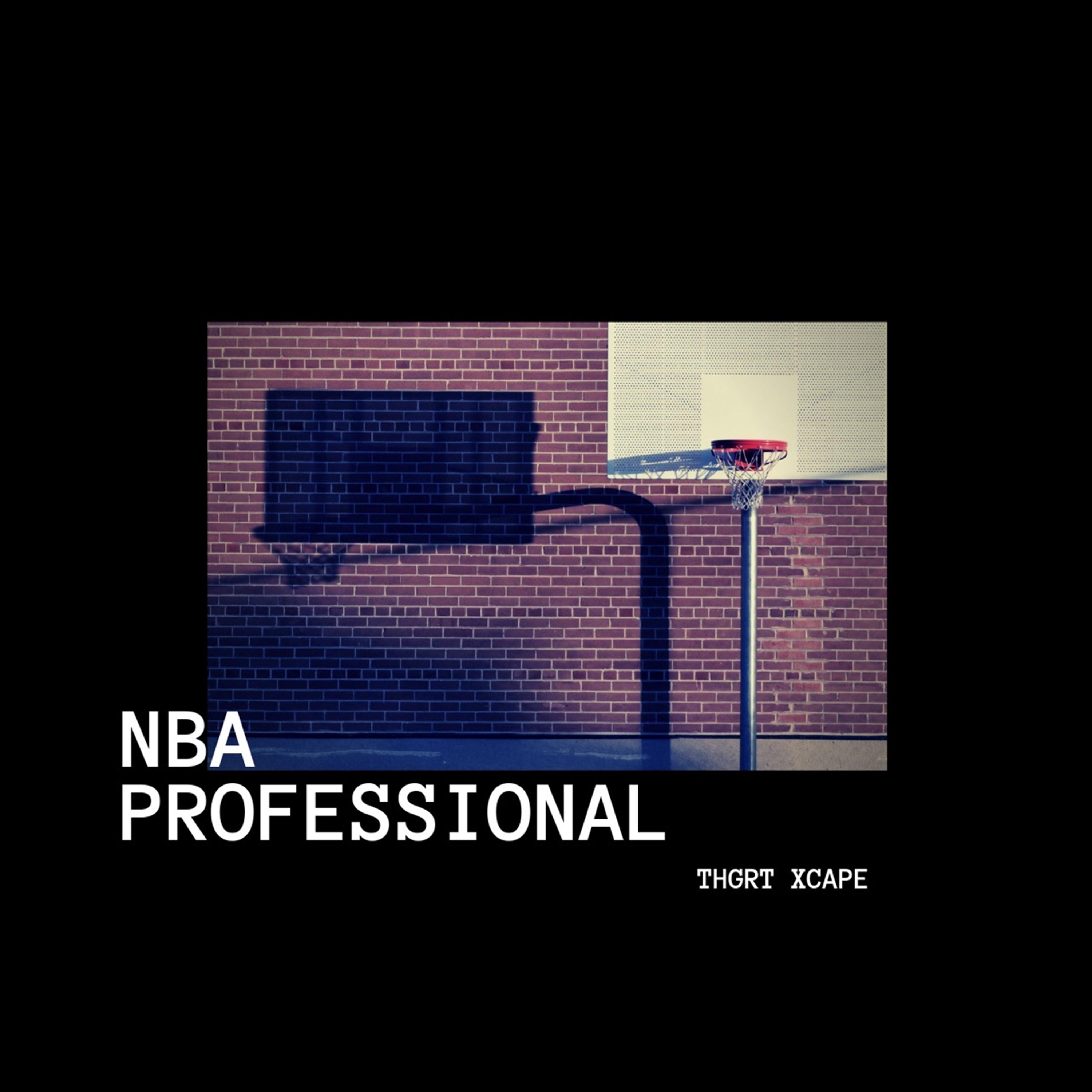NBA Professional