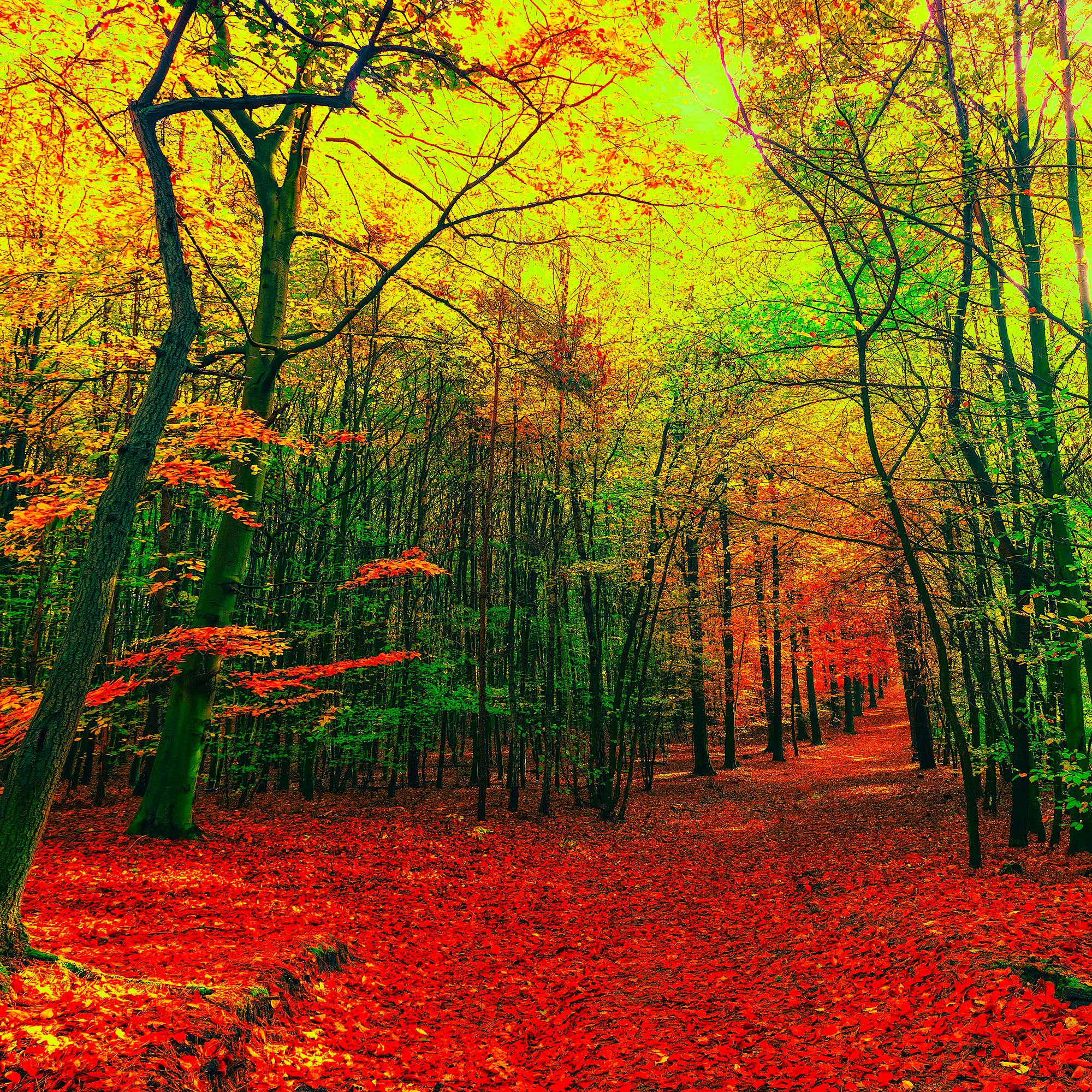 Automne Bleu II