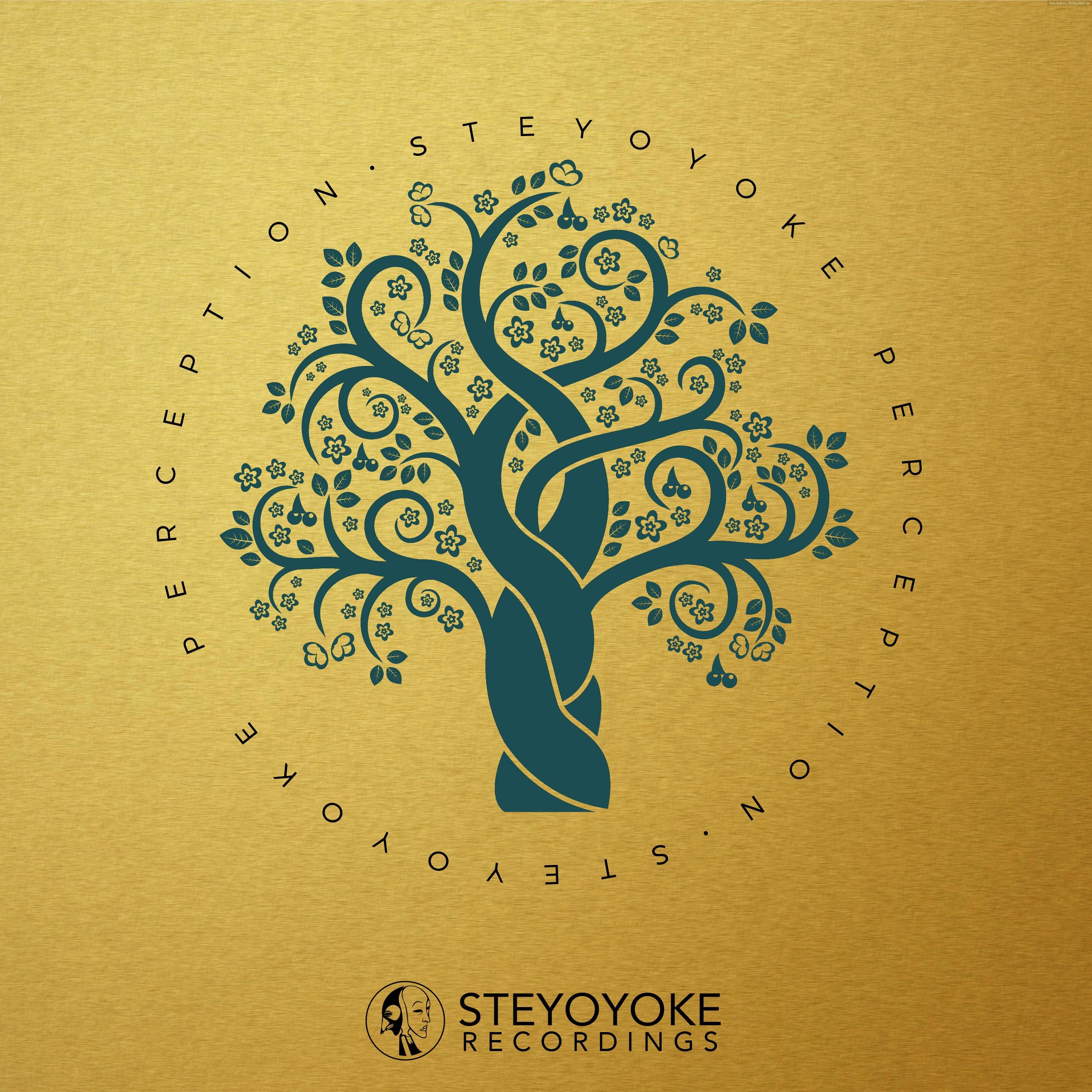 Steyoyoke Perception, Vol. 2
