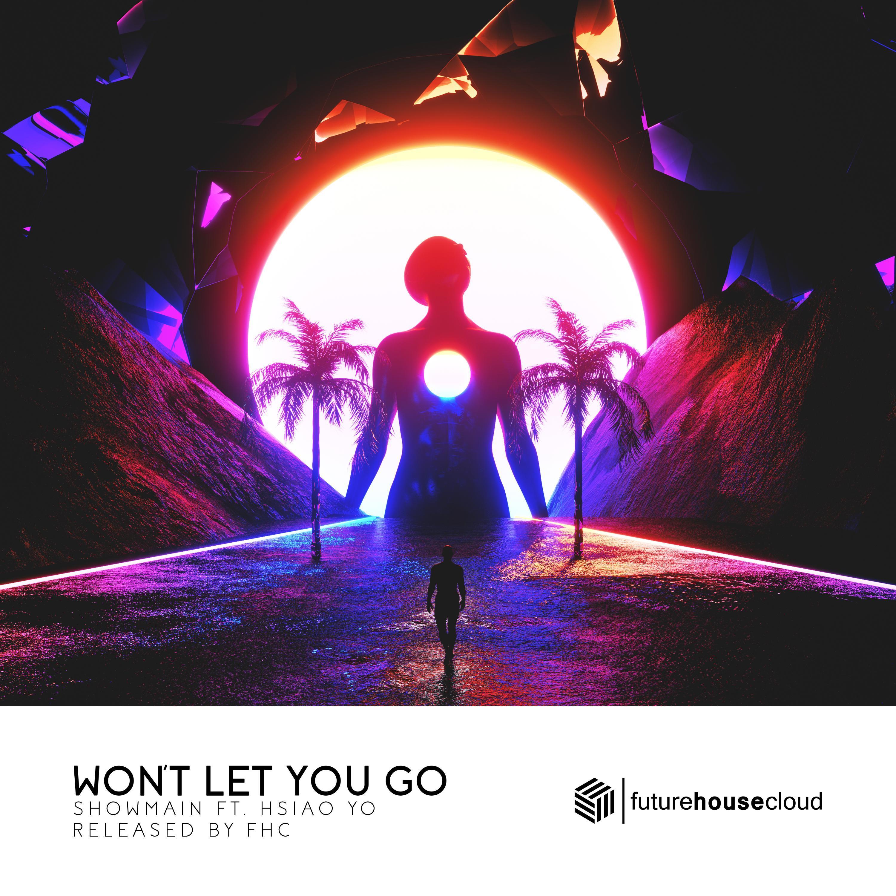 Won't Let You Go