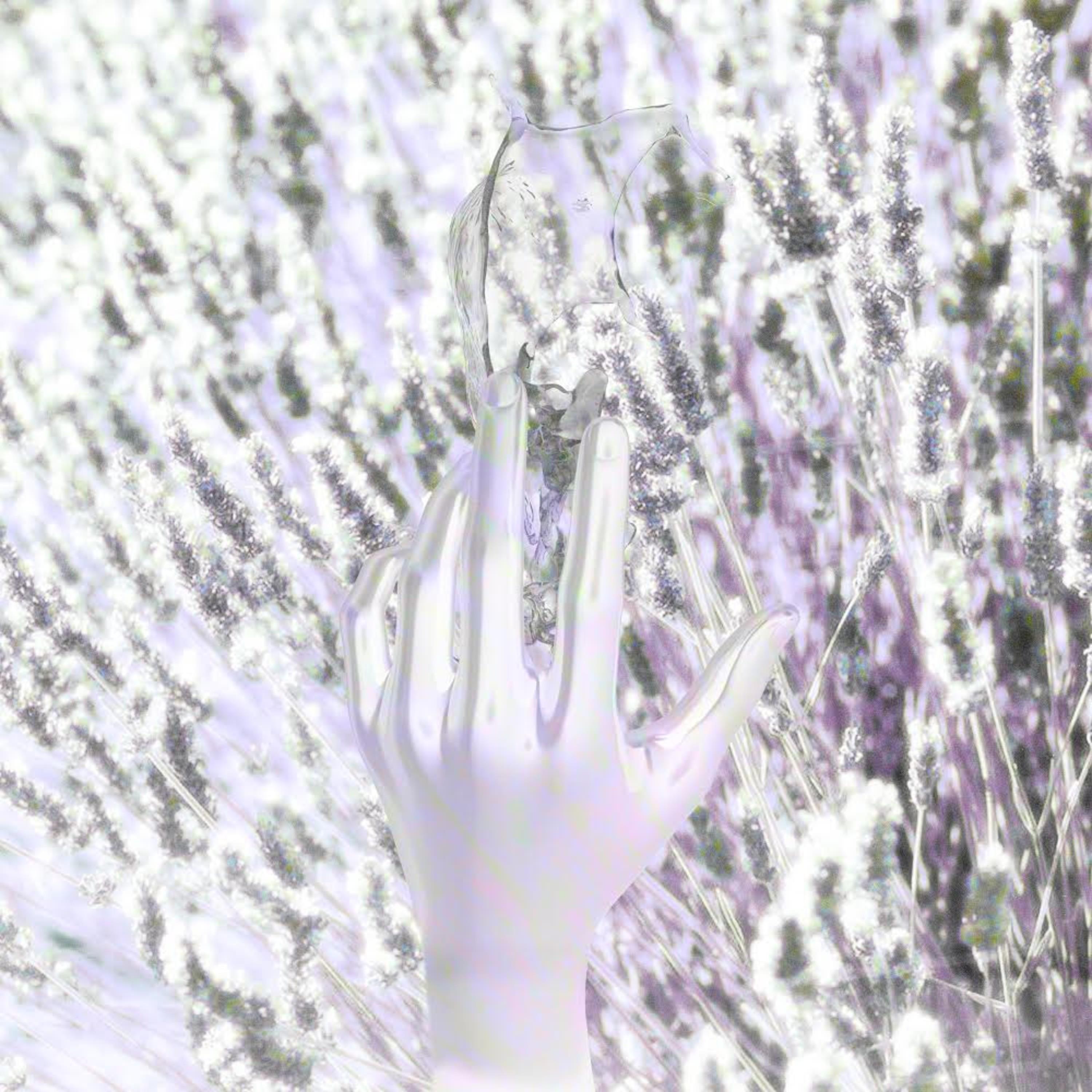 Everlong
